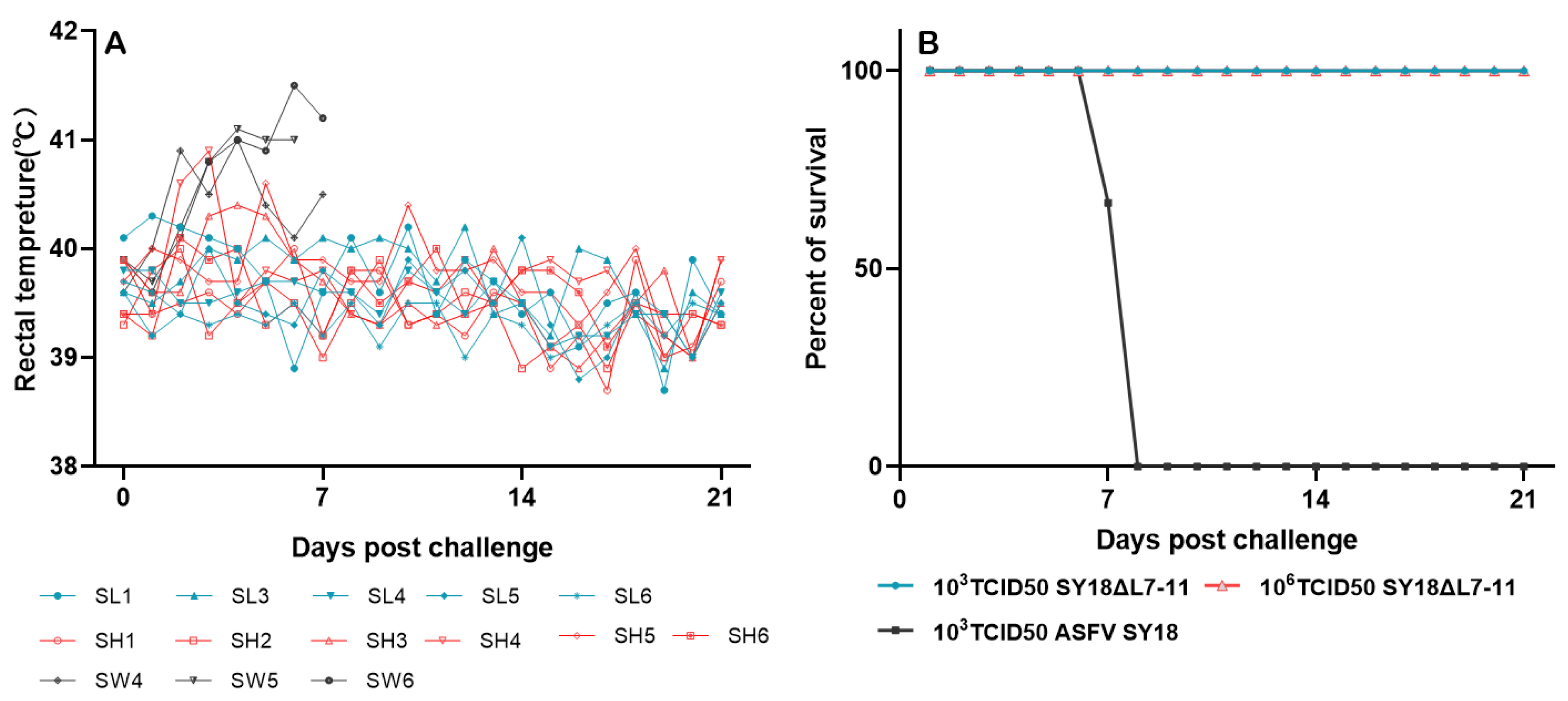 Viruses 13 00255 g004 Viruses 13 00255 g004