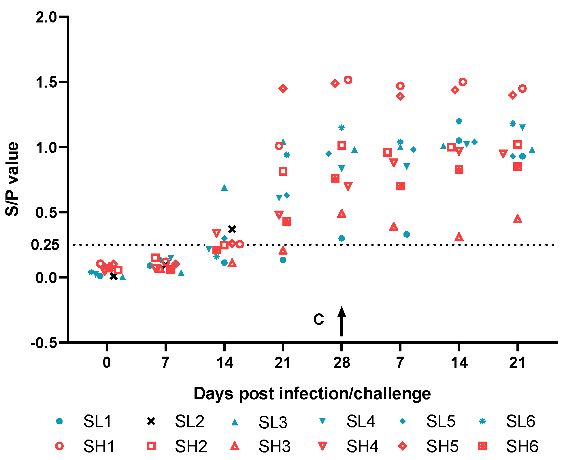 Viruses 13 00255 g005 Viruses 13 00255 g005