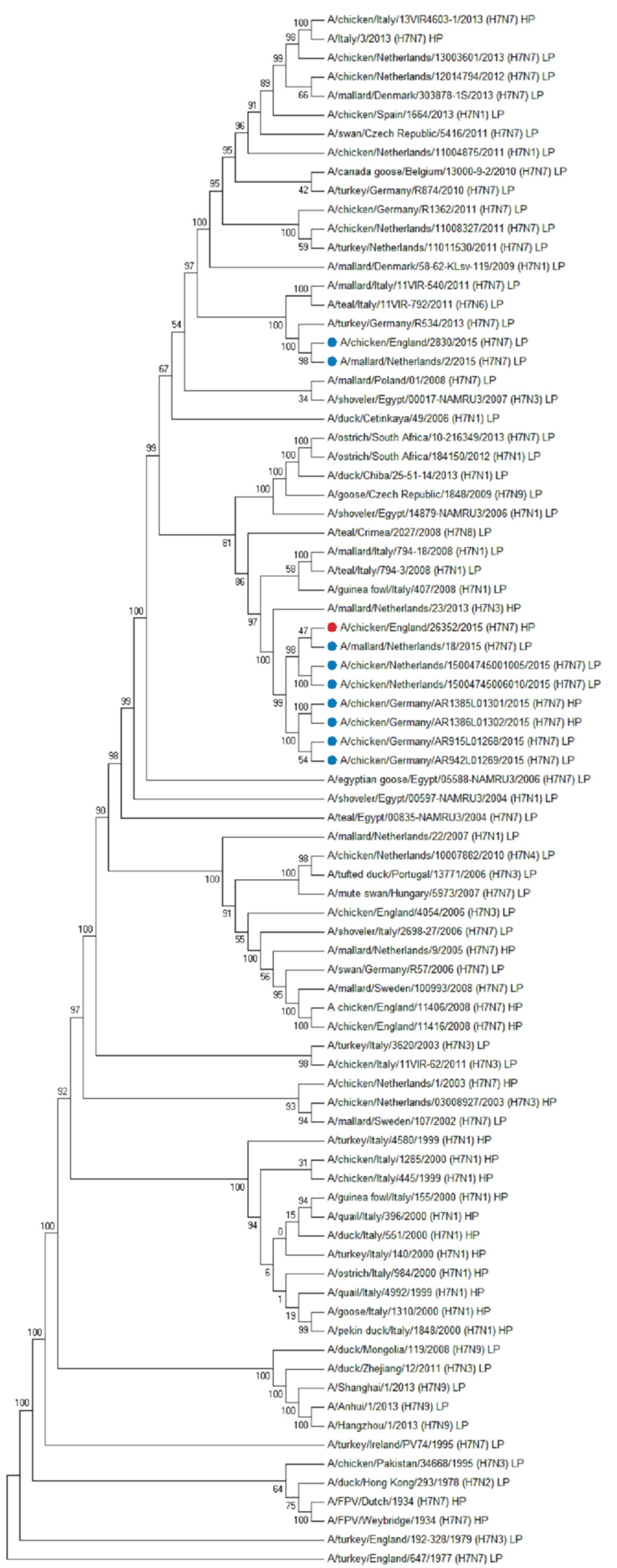 Viruses 13 00259 g004 Viruses 13 00259 g004
