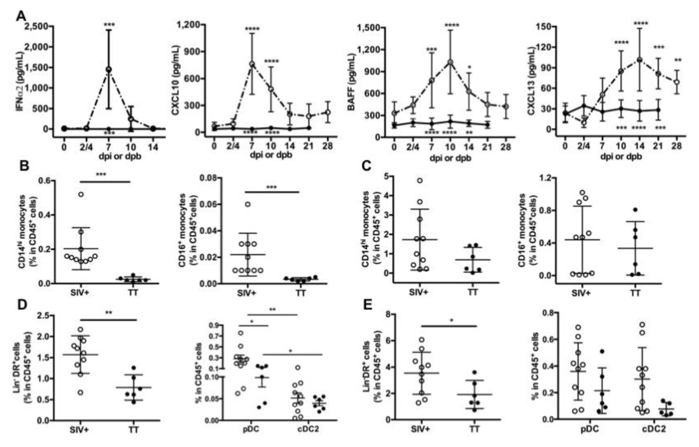 Viruses 13 00263 g002 Viruses 13 00263 g002