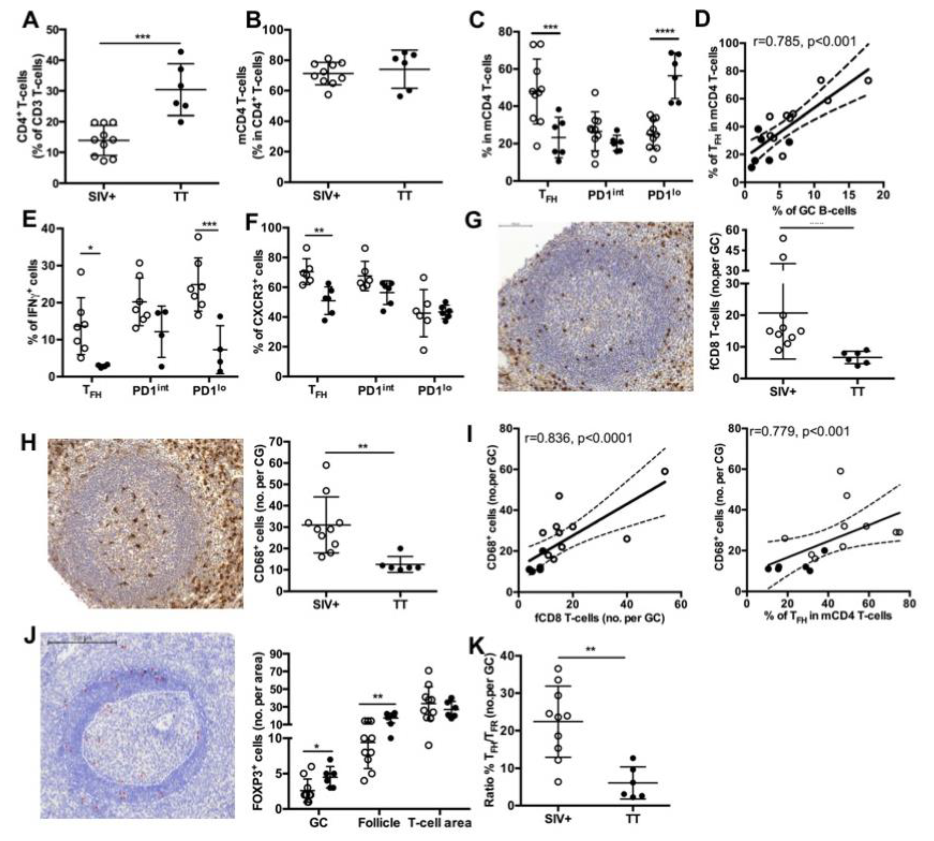 Viruses 13 00263 g005 Viruses 13 00263 g005