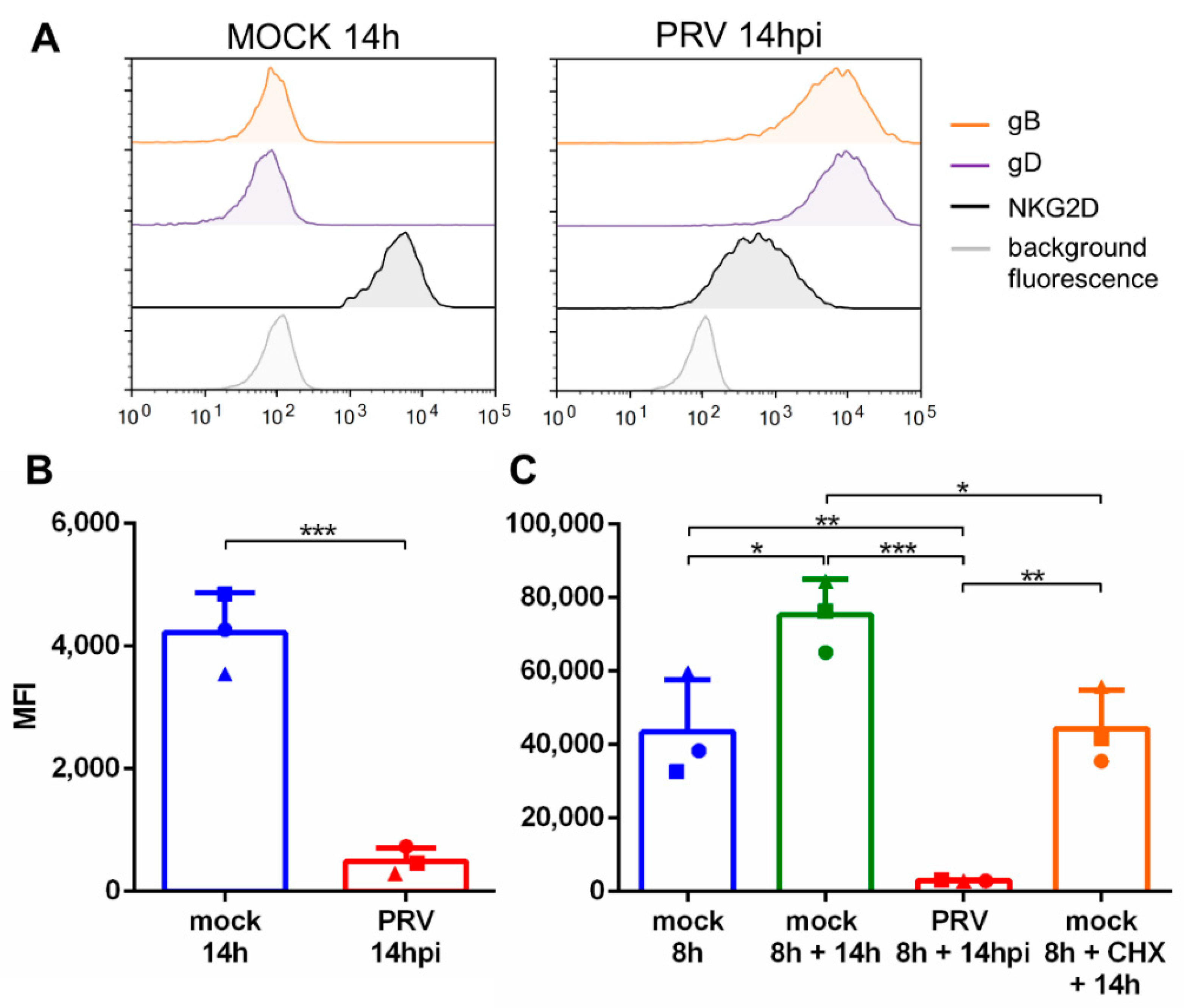 Viruses 13 00266 g001 Viruses 13 00266 g001