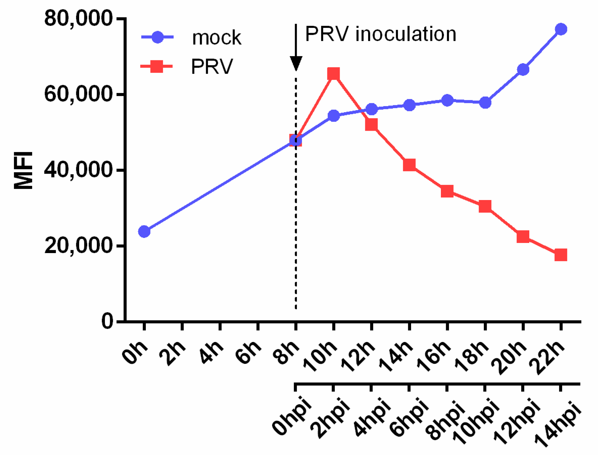Viruses 13 00266 g002 Viruses 13 00266 g002
