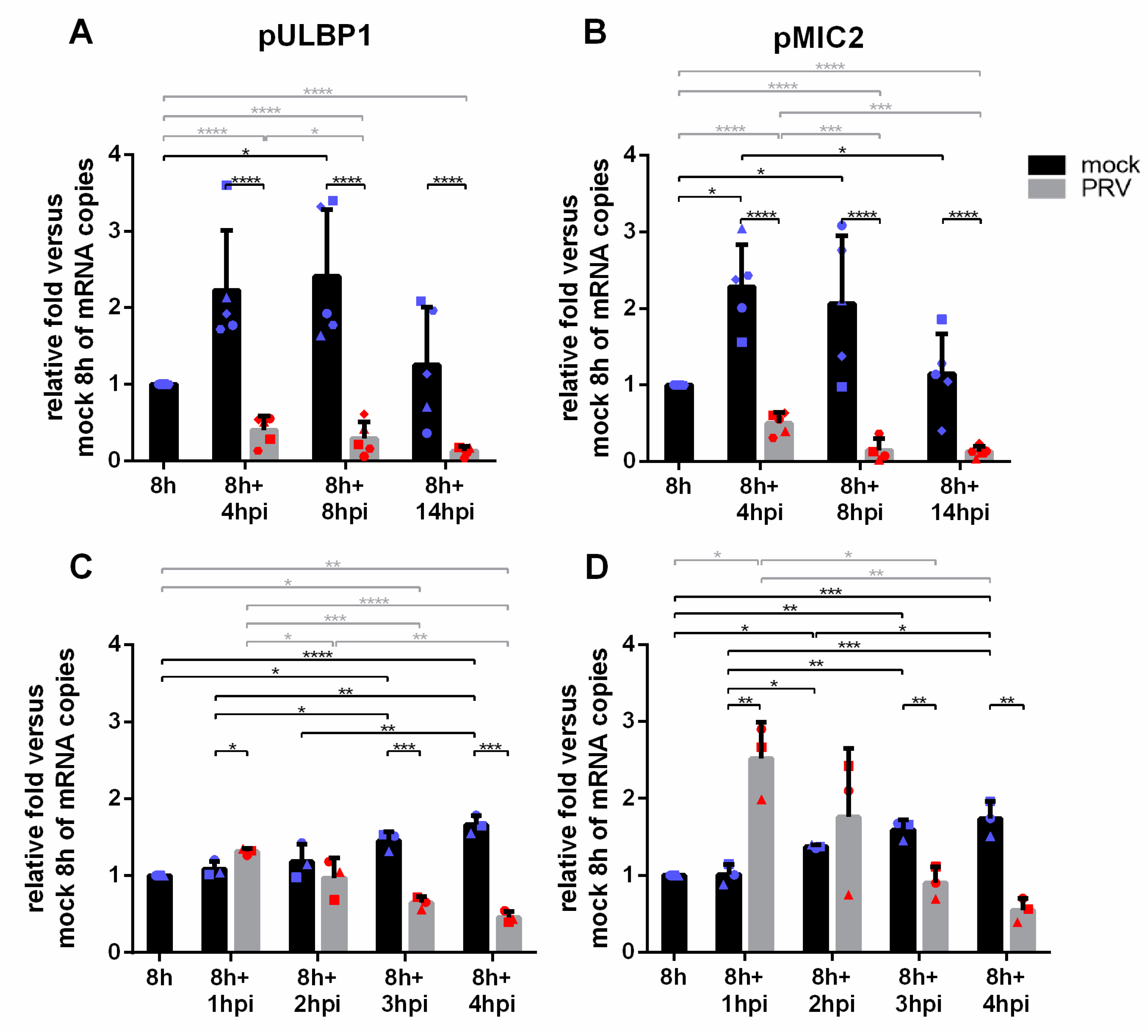Viruses 13 00266 g005 Viruses 13 00266 g005