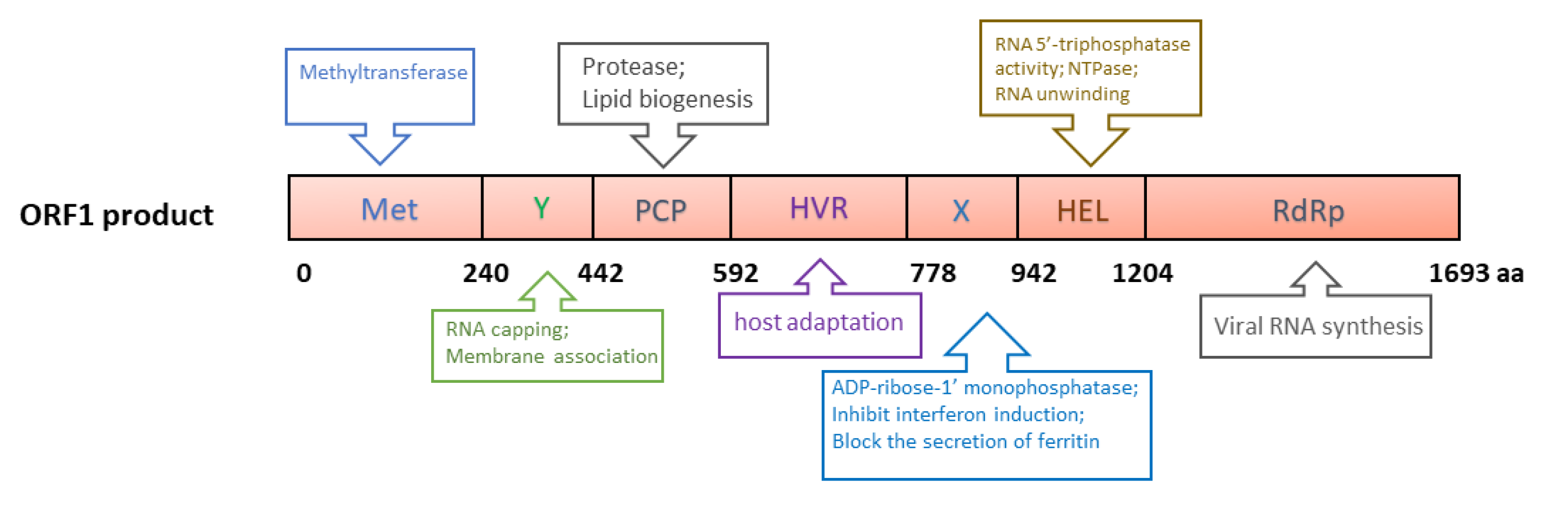 Viruses 13 00267 g002 Viruses 13 00267 g002