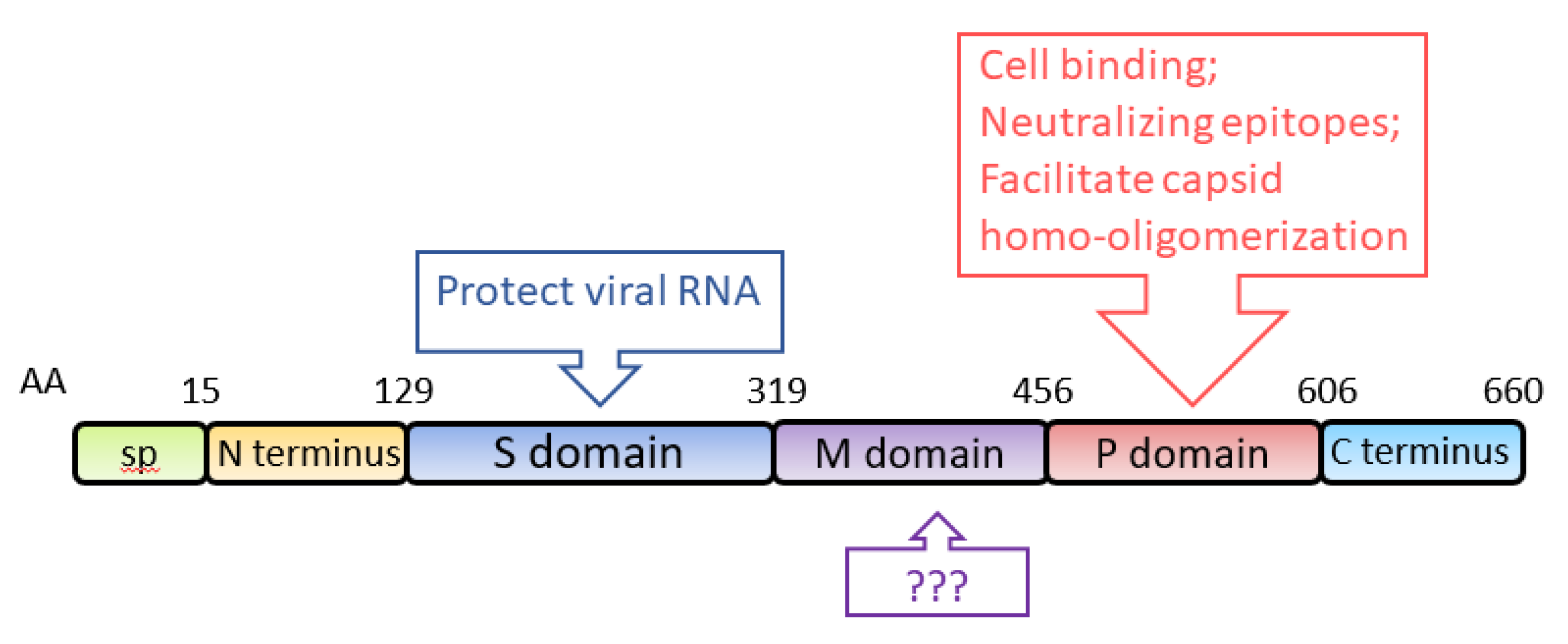 Viruses 13 00267 g003 Viruses 13 00267 g003