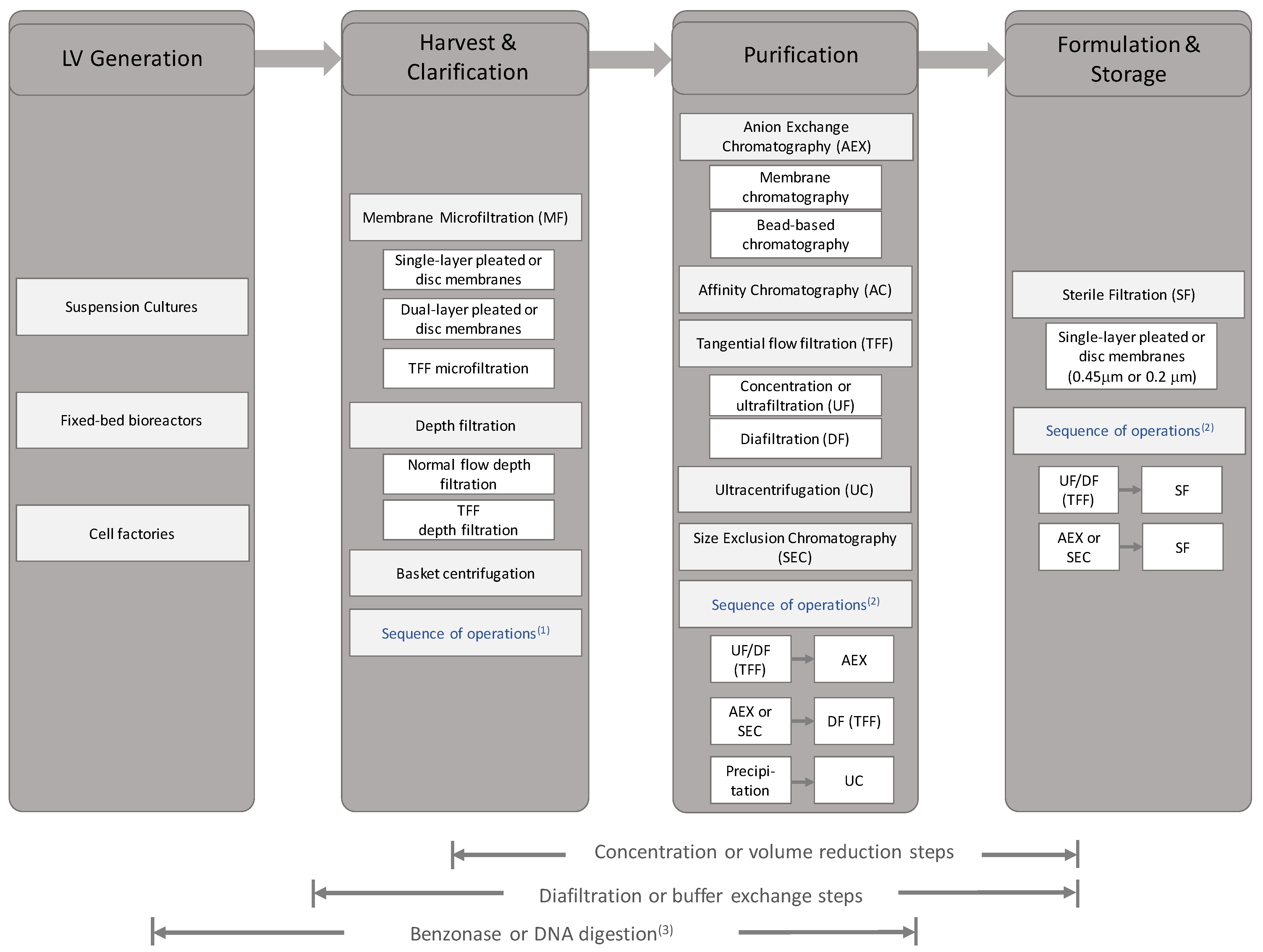 Viruses 13 00268 g002 Viruses 13 00268 g002