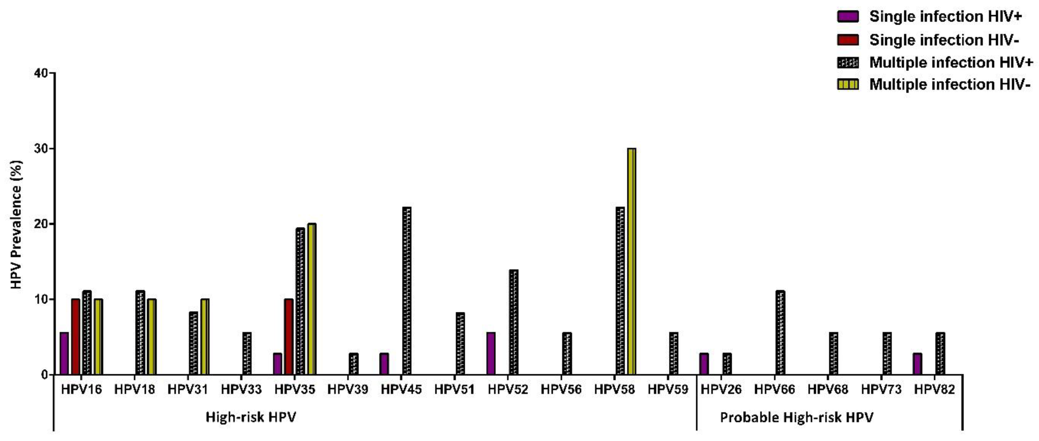 Viruses 13 00280 g003 Viruses 13 00280 g003