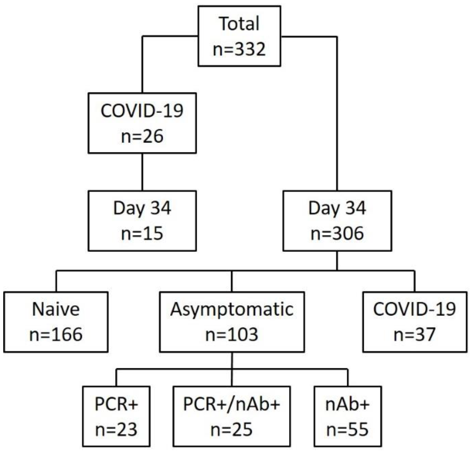 Viruses 13 00284 g001 Viruses 13 00284 g001