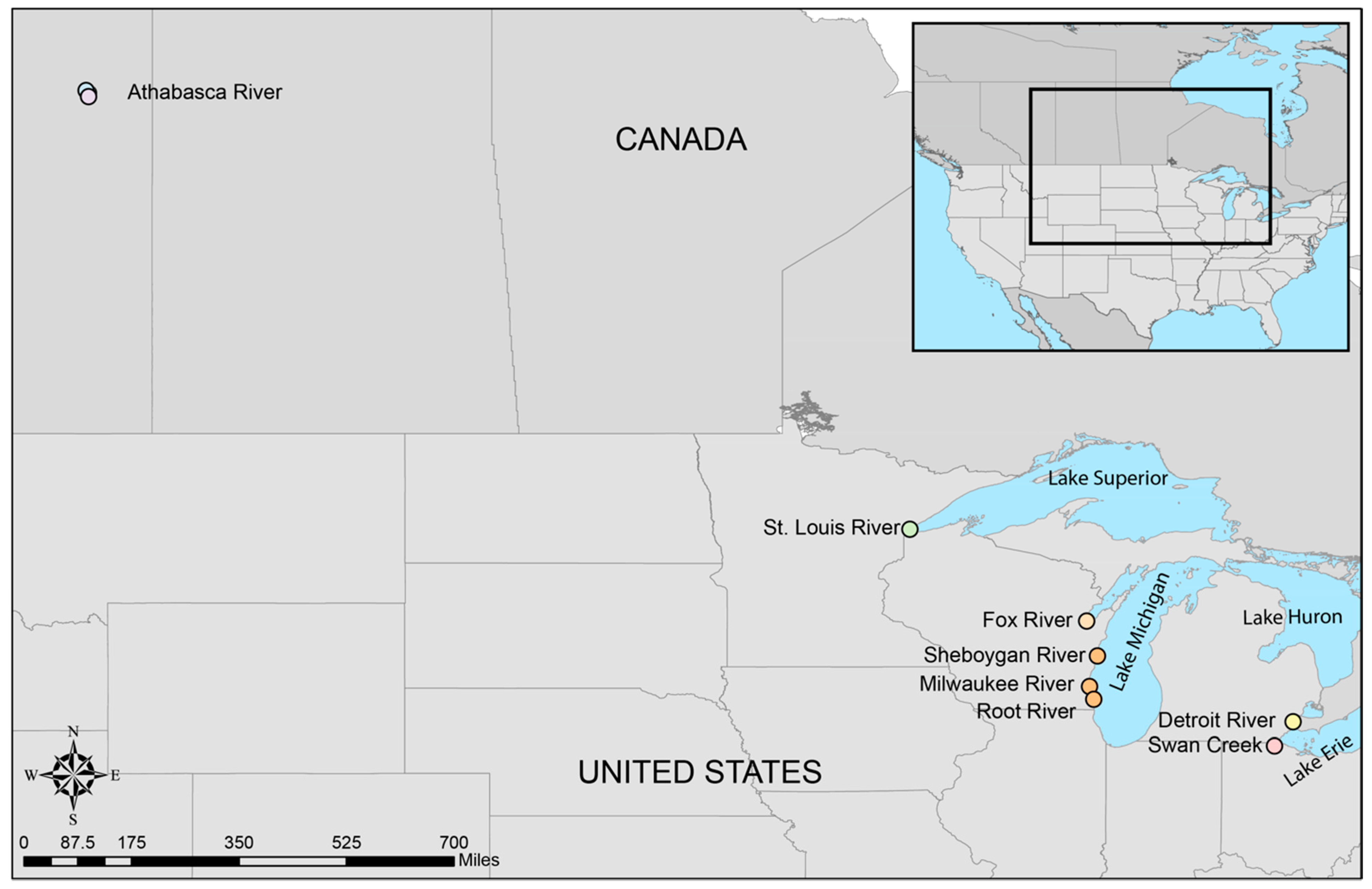 Viruses 13 00285 g001