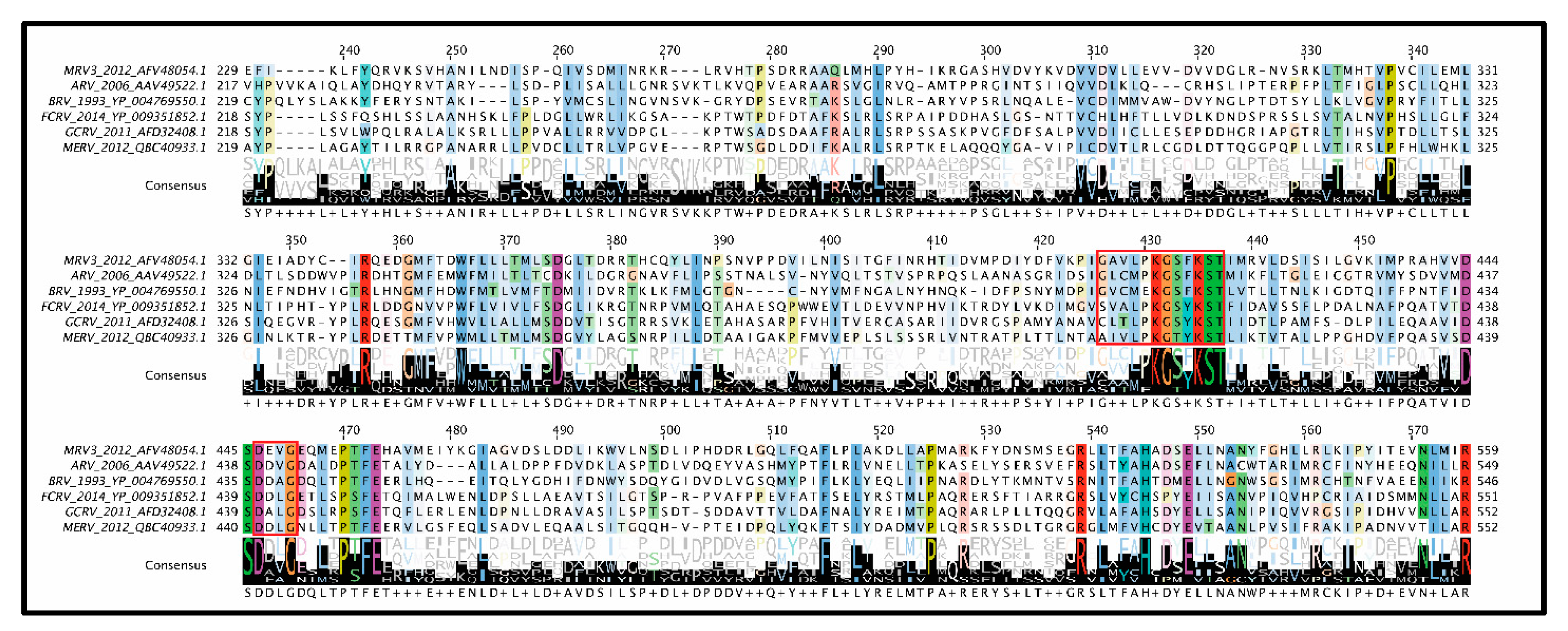 Viruses 13 00294 g007