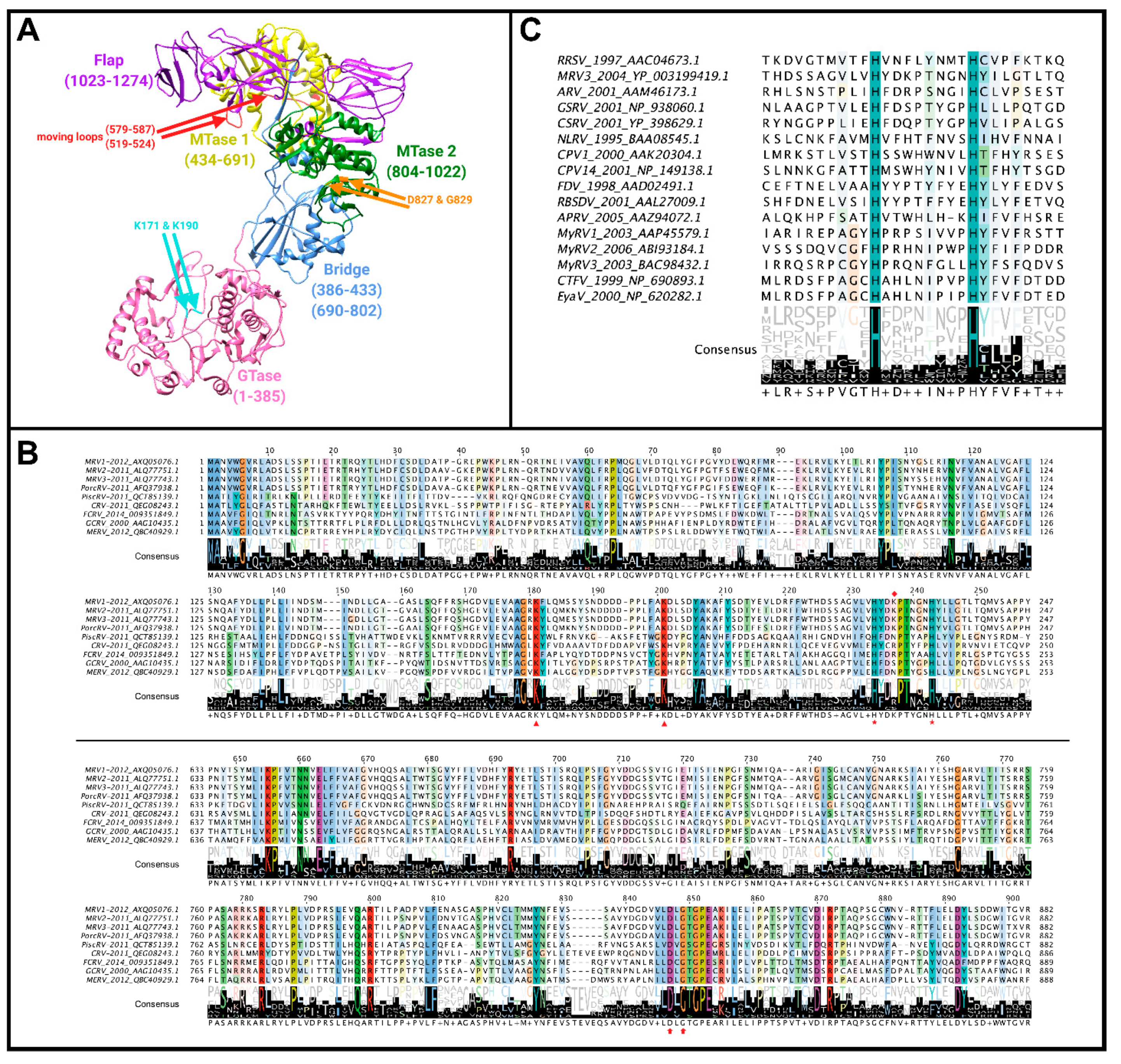 Viruses 13 00294 g009