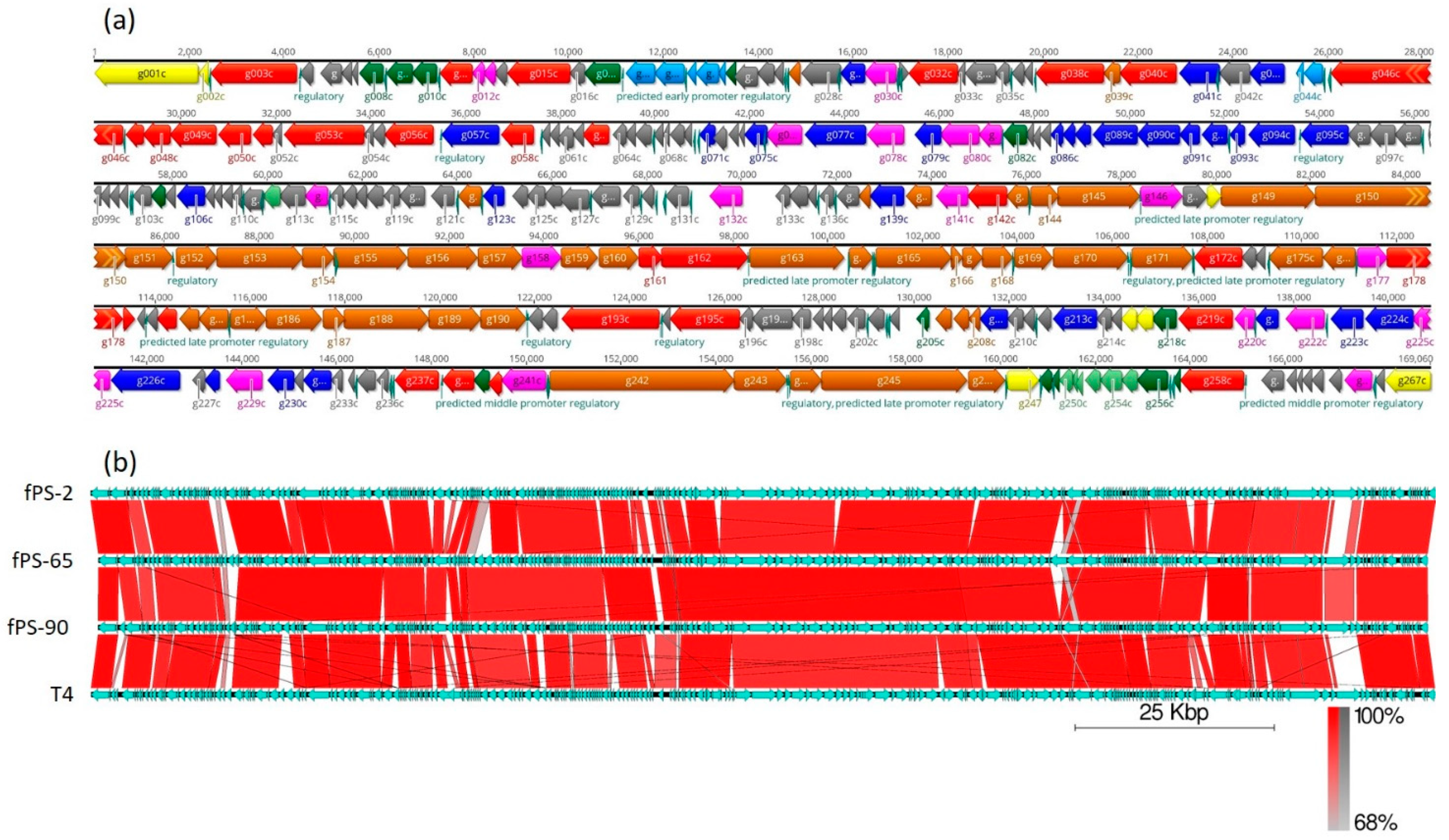 Viruses 13 00296 g002