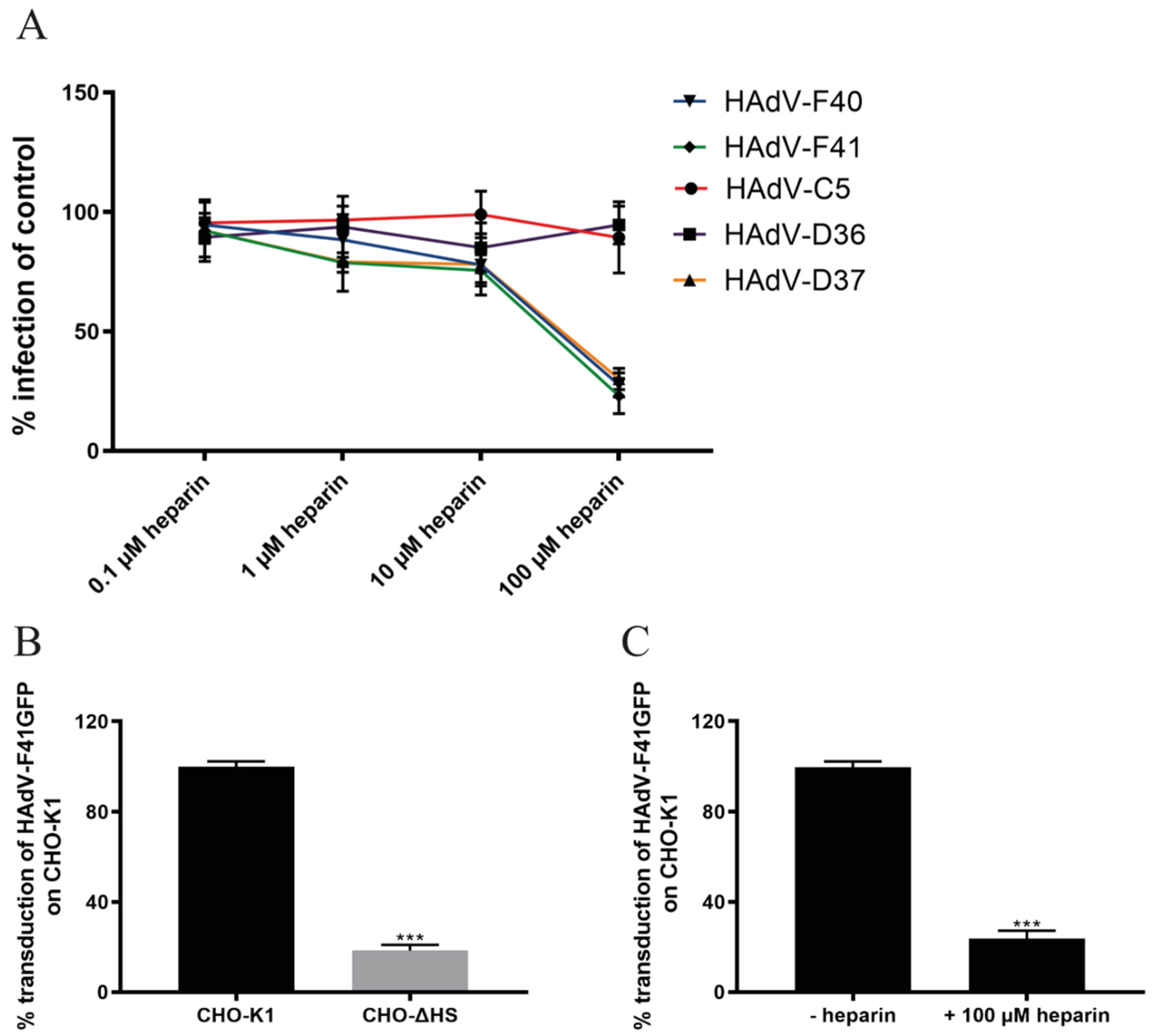 Viruses 13 00298 g003 Viruses 13 00298 g003