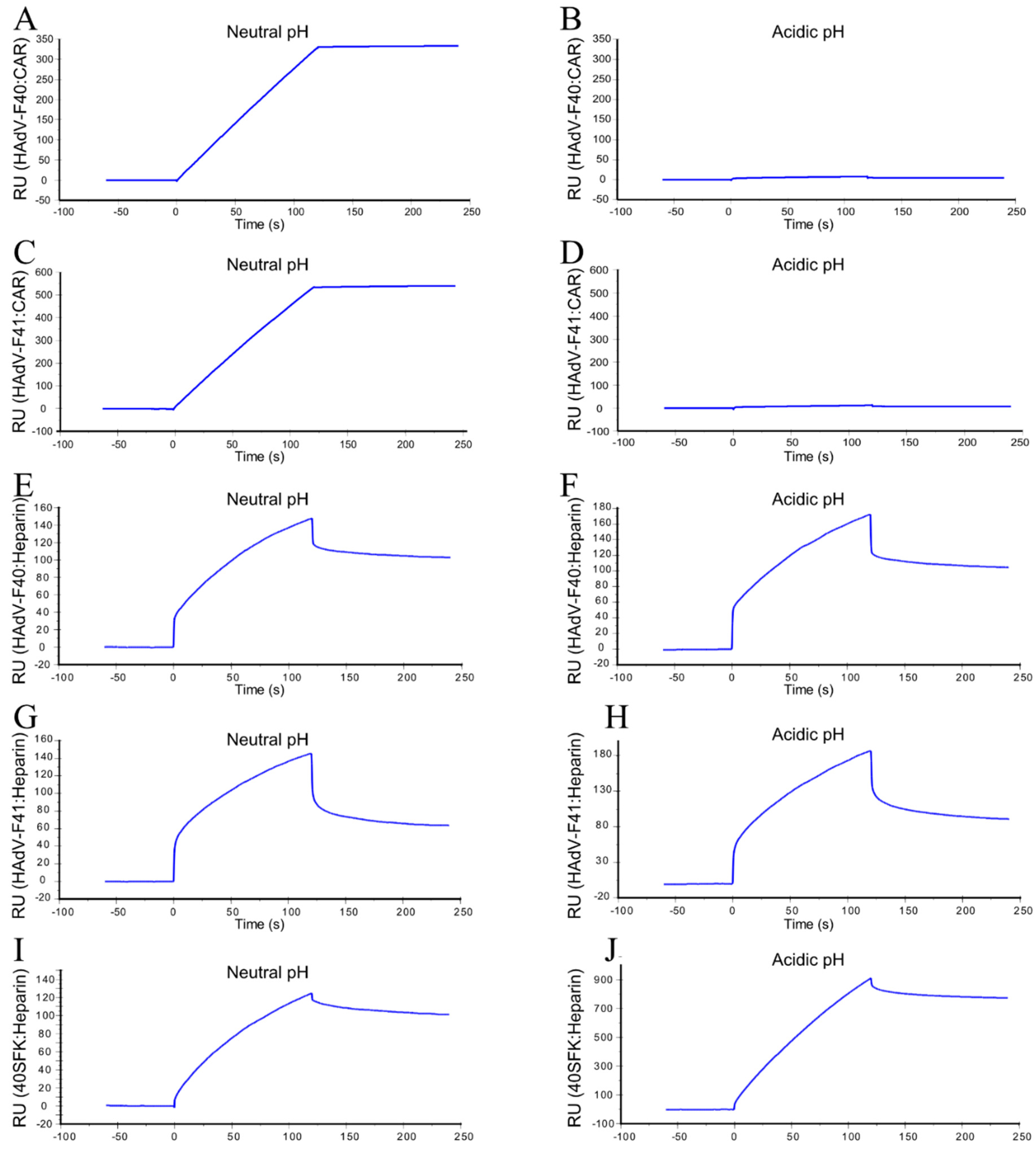 Viruses 13 00298 g006 Viruses 13 00298 g006
