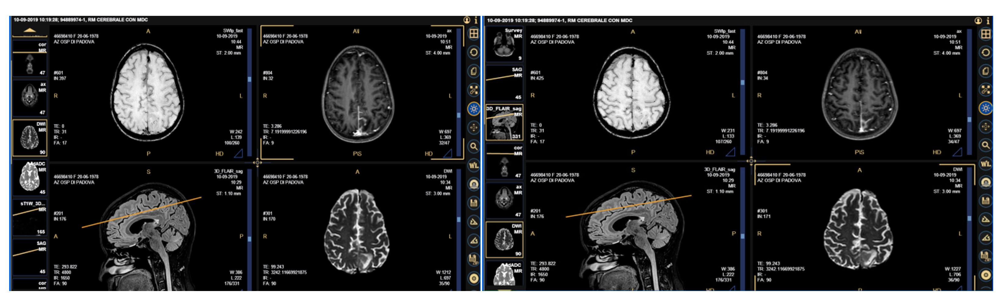 Viruses 13 00307 g001