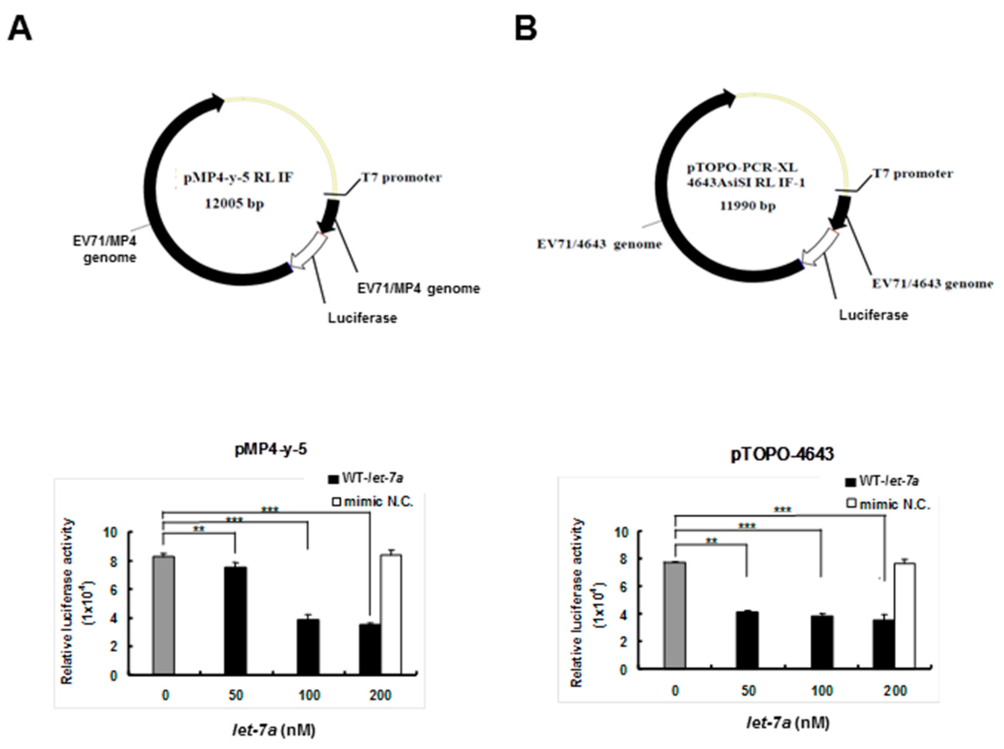 Viruses 13 00308 g002 Viruses 13 00308 g002