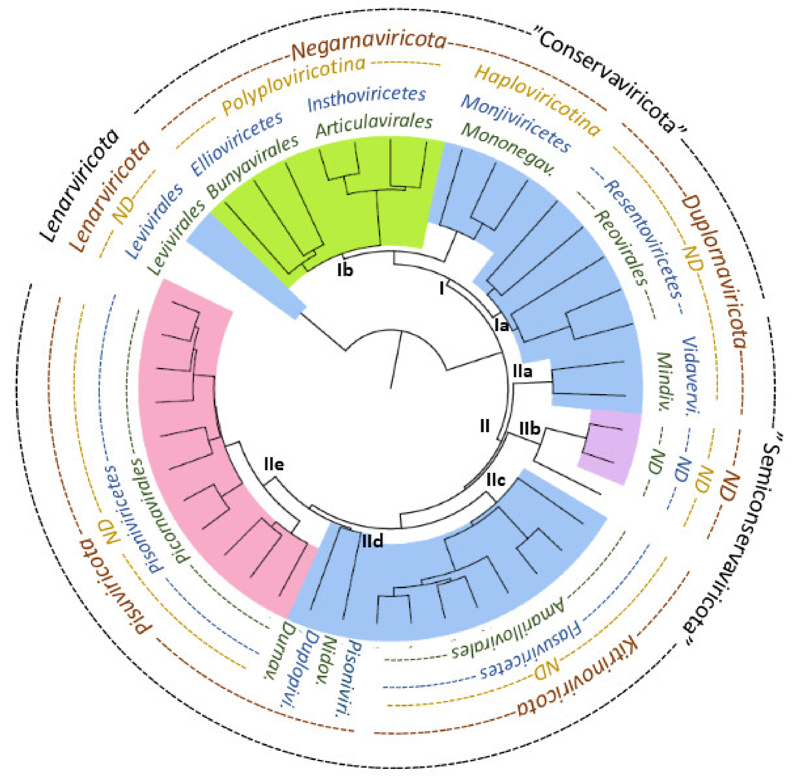 Viruses 13 00313 g003 Viruses 13 00313 g003