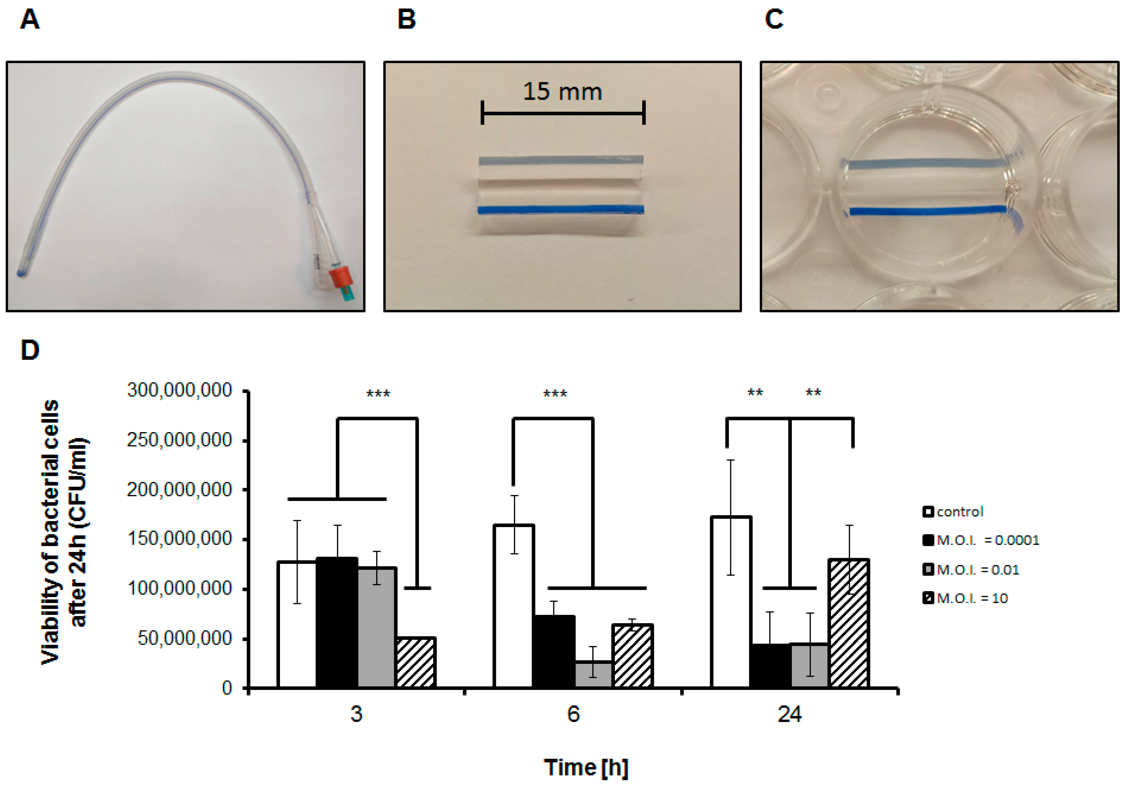 Viruses 13 00318 g001 Viruses 13 00318 g001
