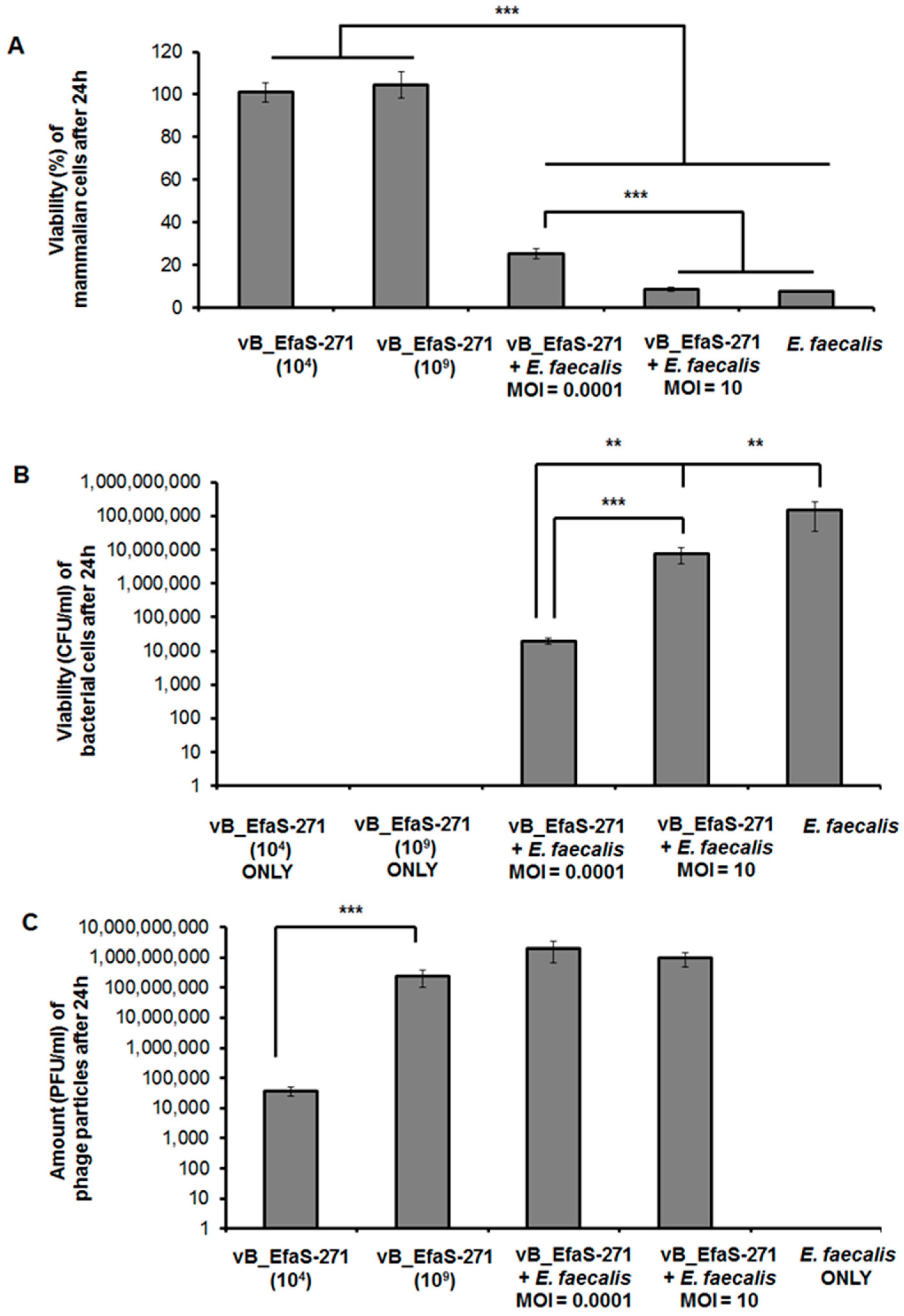Viruses 13 00318 g002 Viruses 13 00318 g002