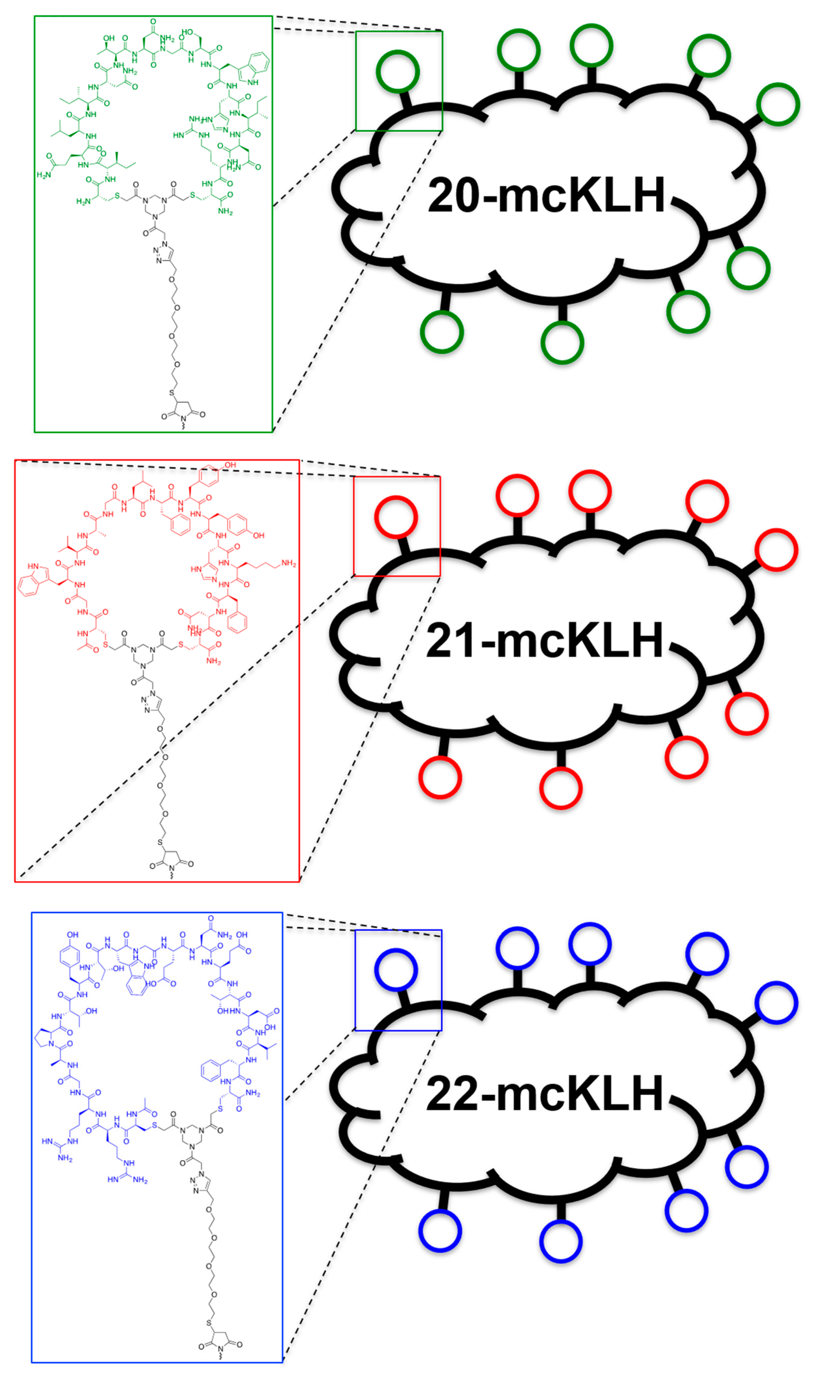 Viruses 13 00326 g003