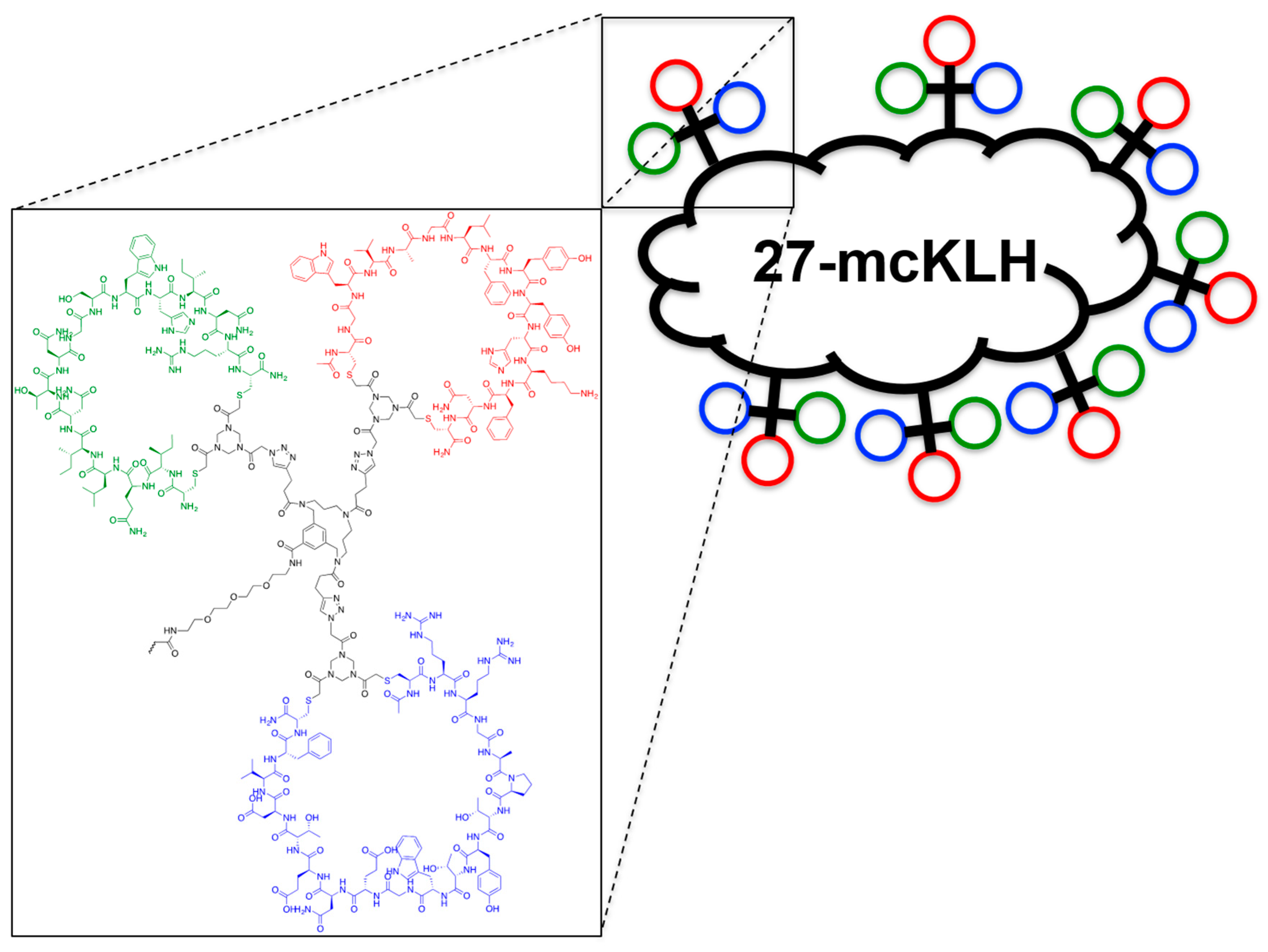 Viruses 13 00326 g004
