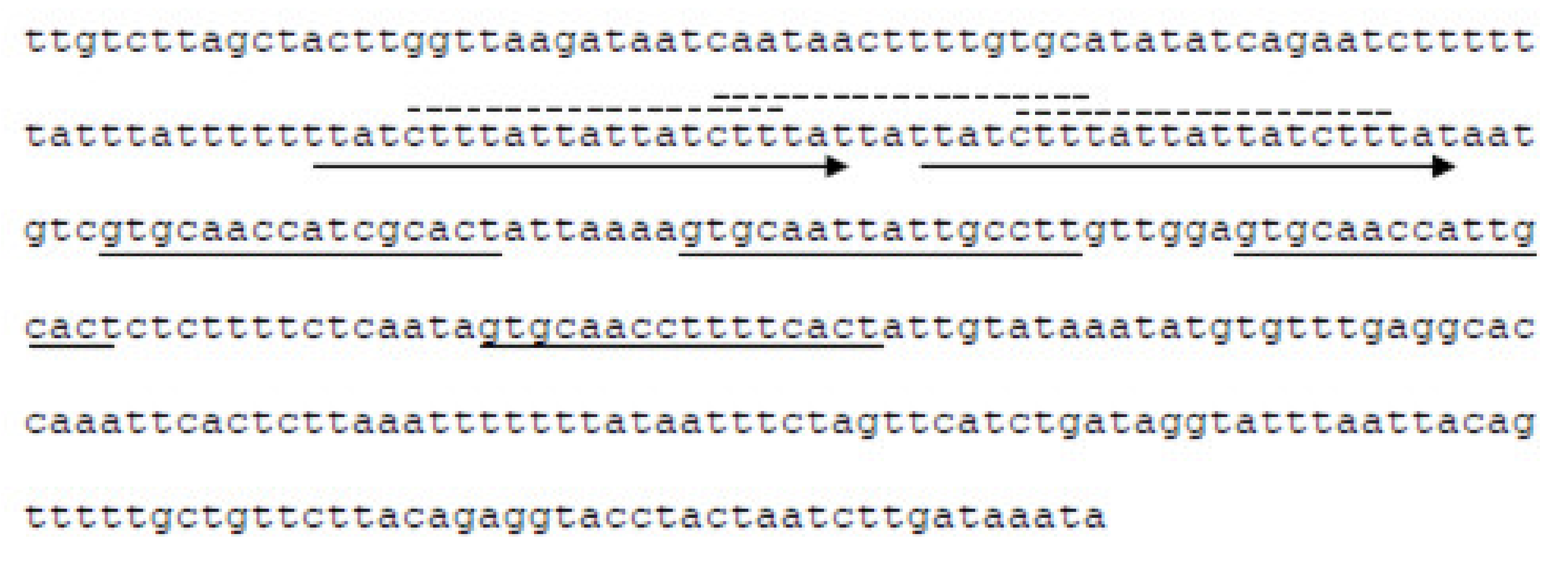 Viruses 13 00327 g002