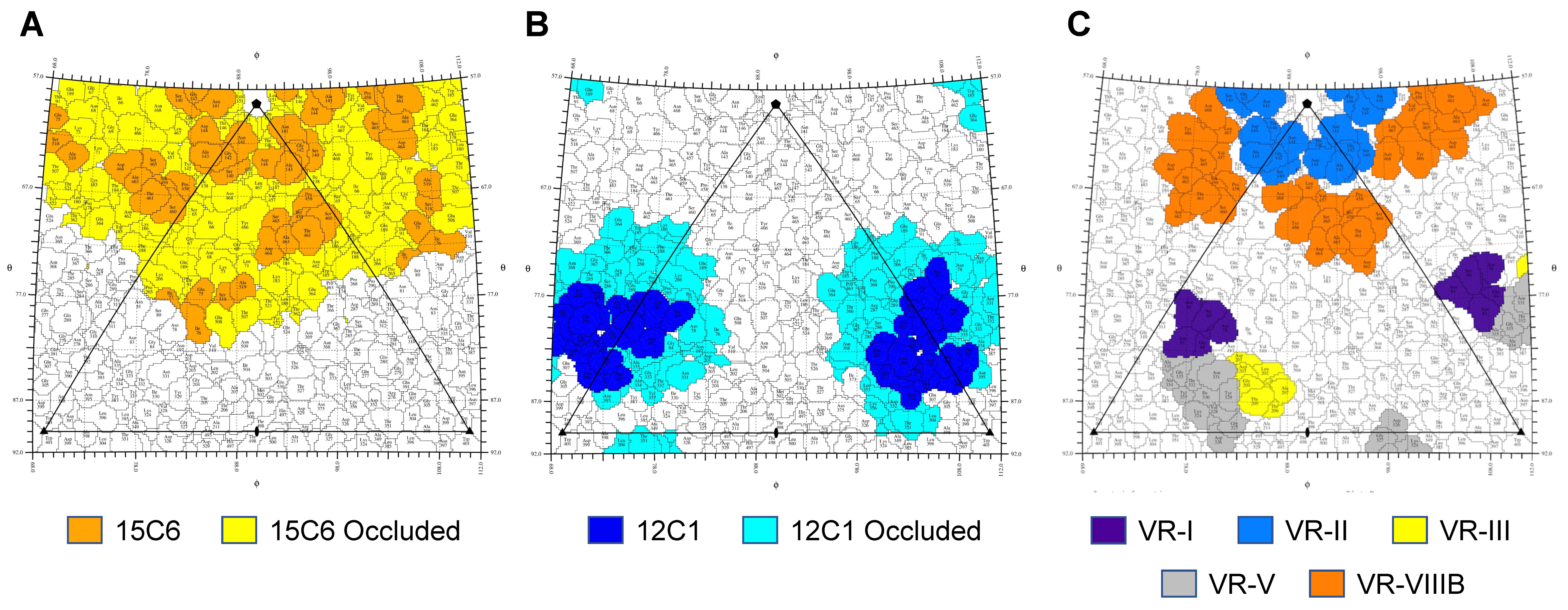Viruses 13 00330 g007 Viruses 13 00330 g007