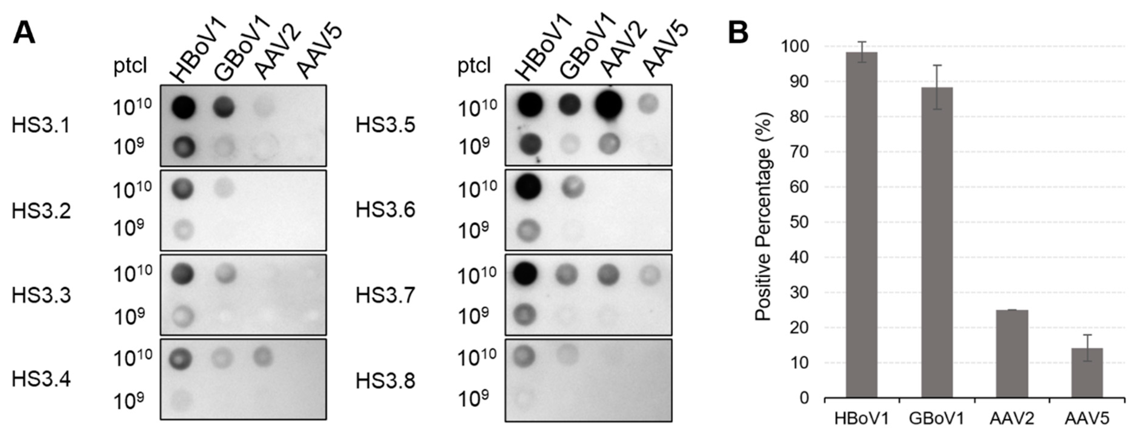 Viruses 13 00330 g008 Viruses 13 00330 g008