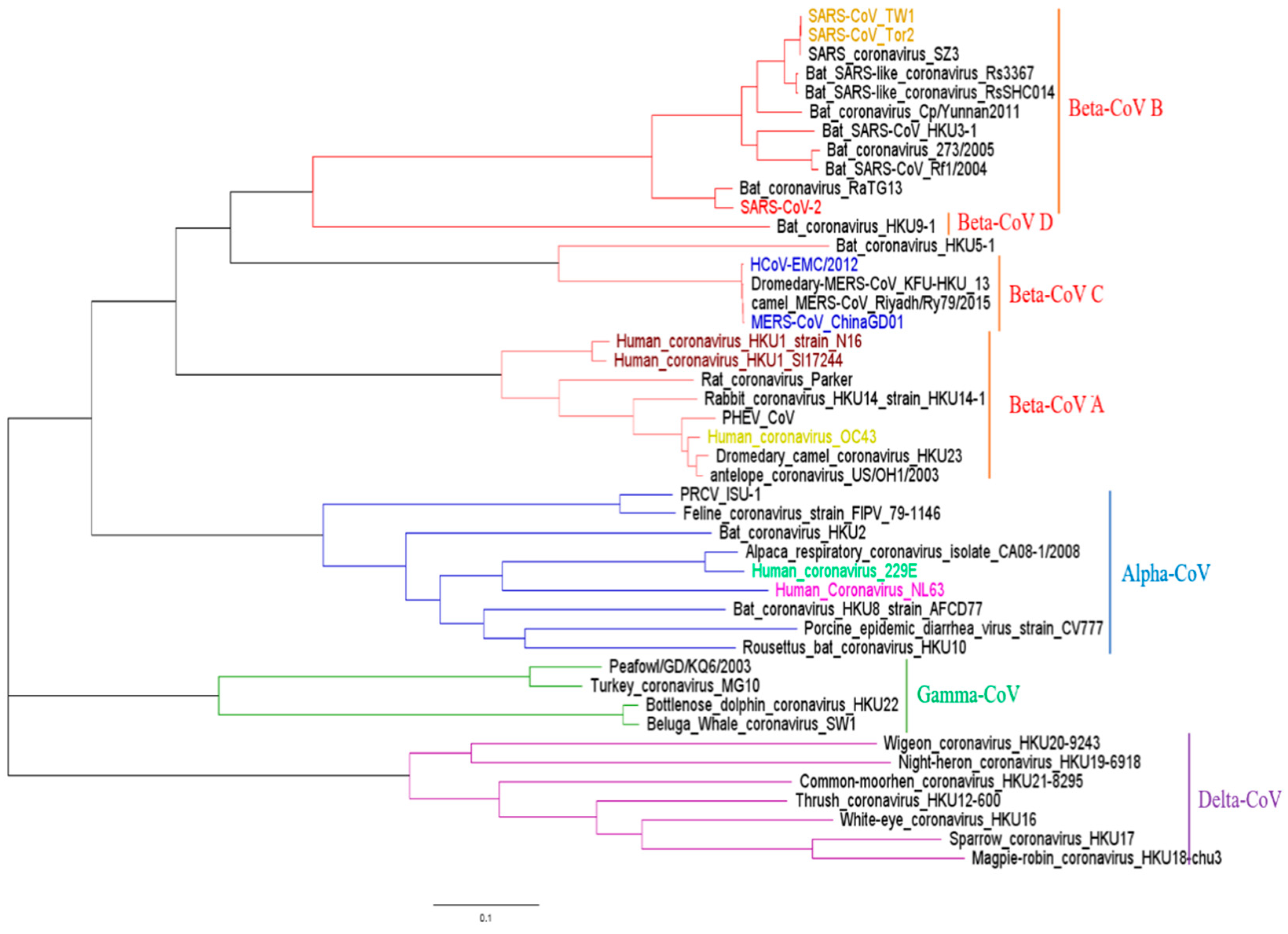 Viruses 13 00333 g001