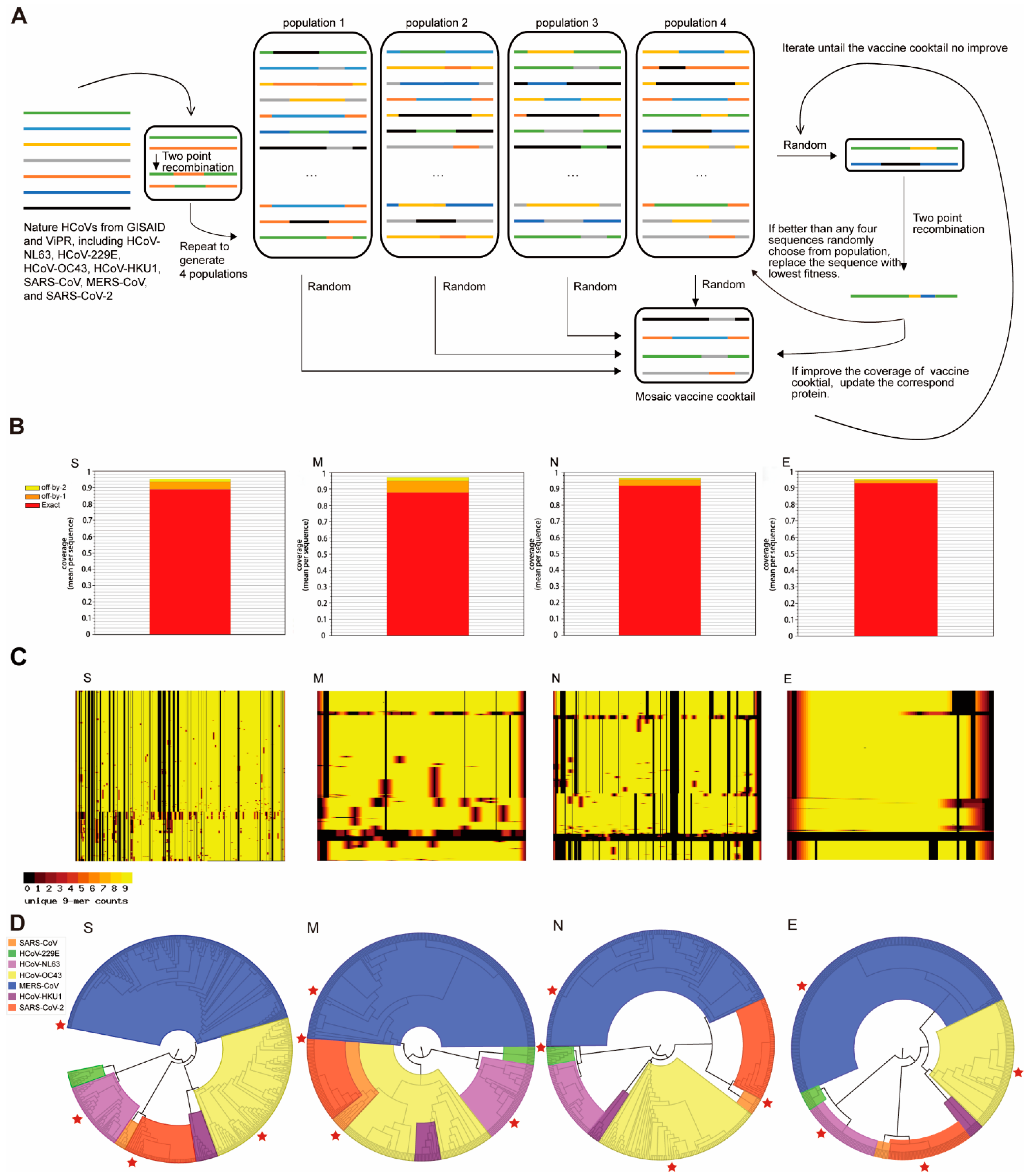 Viruses 13 00333 g002