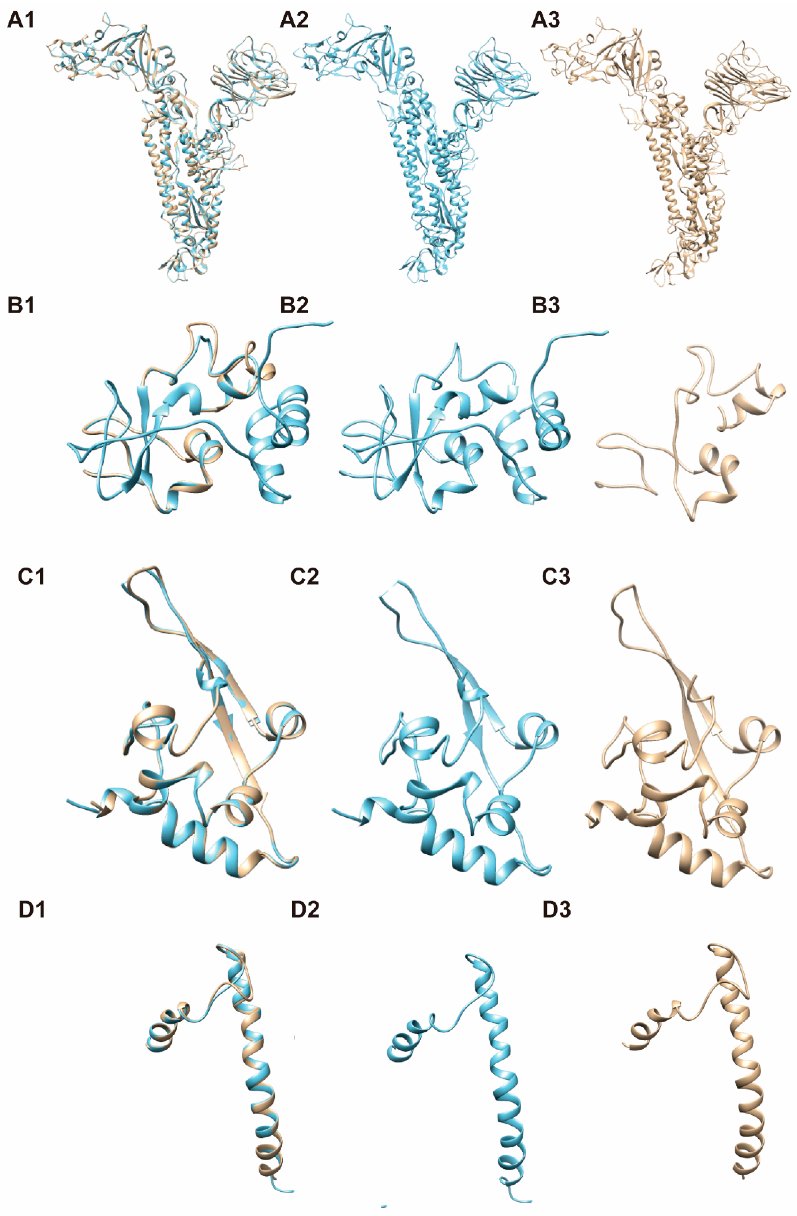 Viruses 13 00333 g003