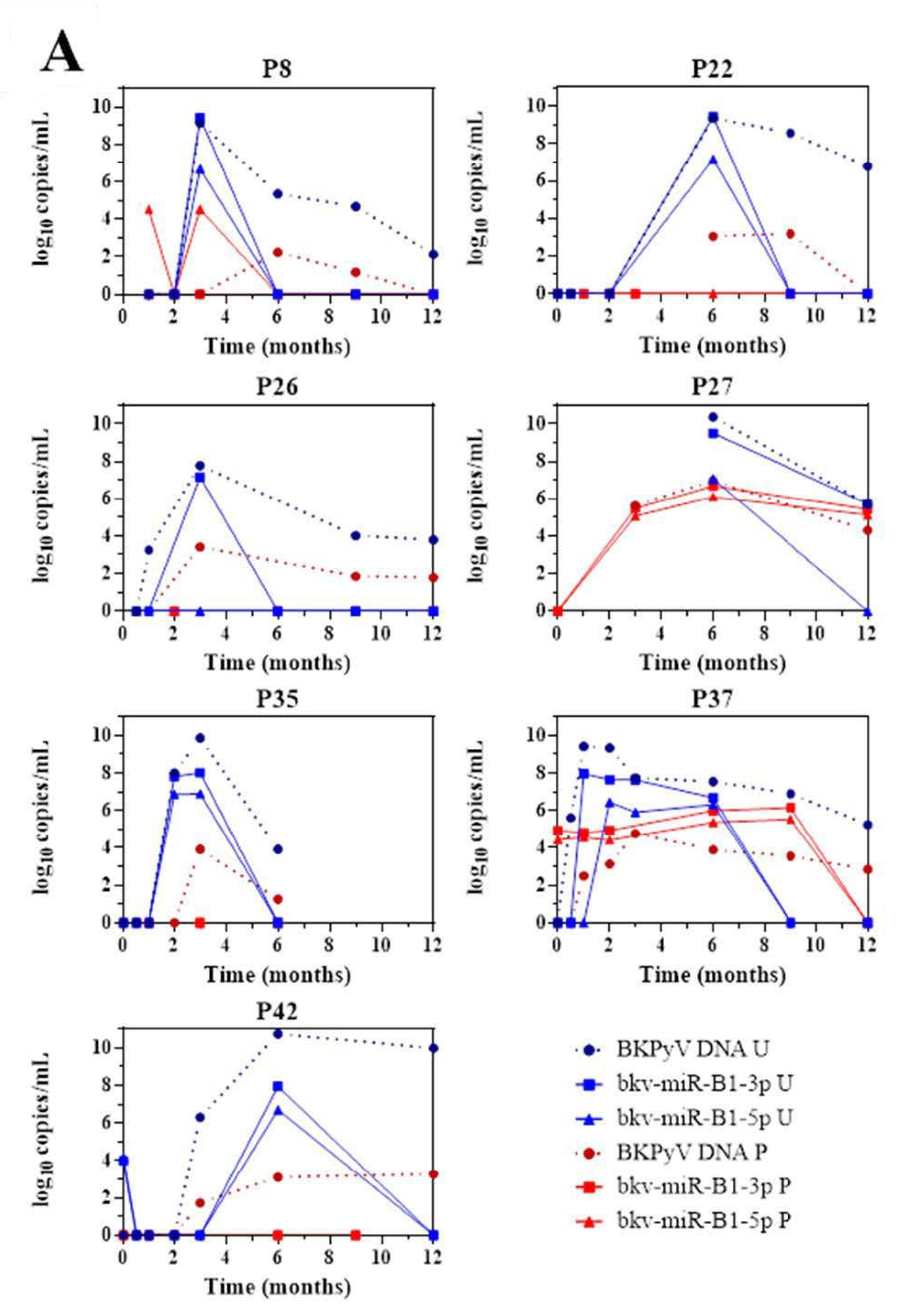 Viruses 13 00351 g002a Viruses 13 00351 g002a
