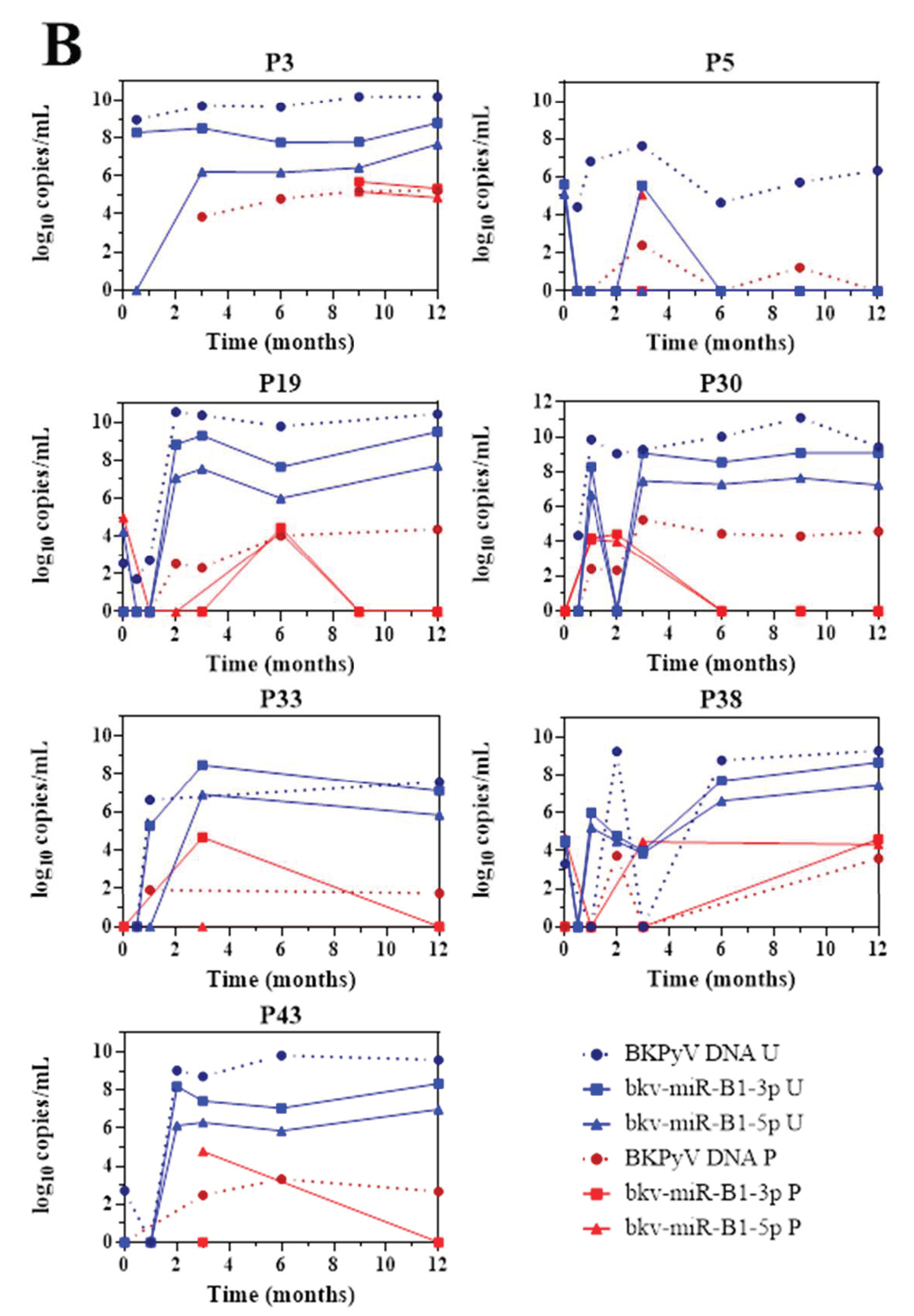 Viruses 13 00351 g002b Viruses 13 00351 g002b