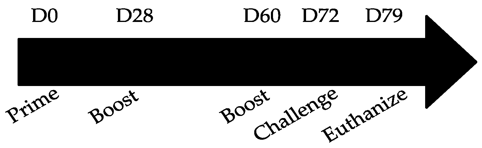 Viruses 13 00352 g002 Viruses 13 00352 g002