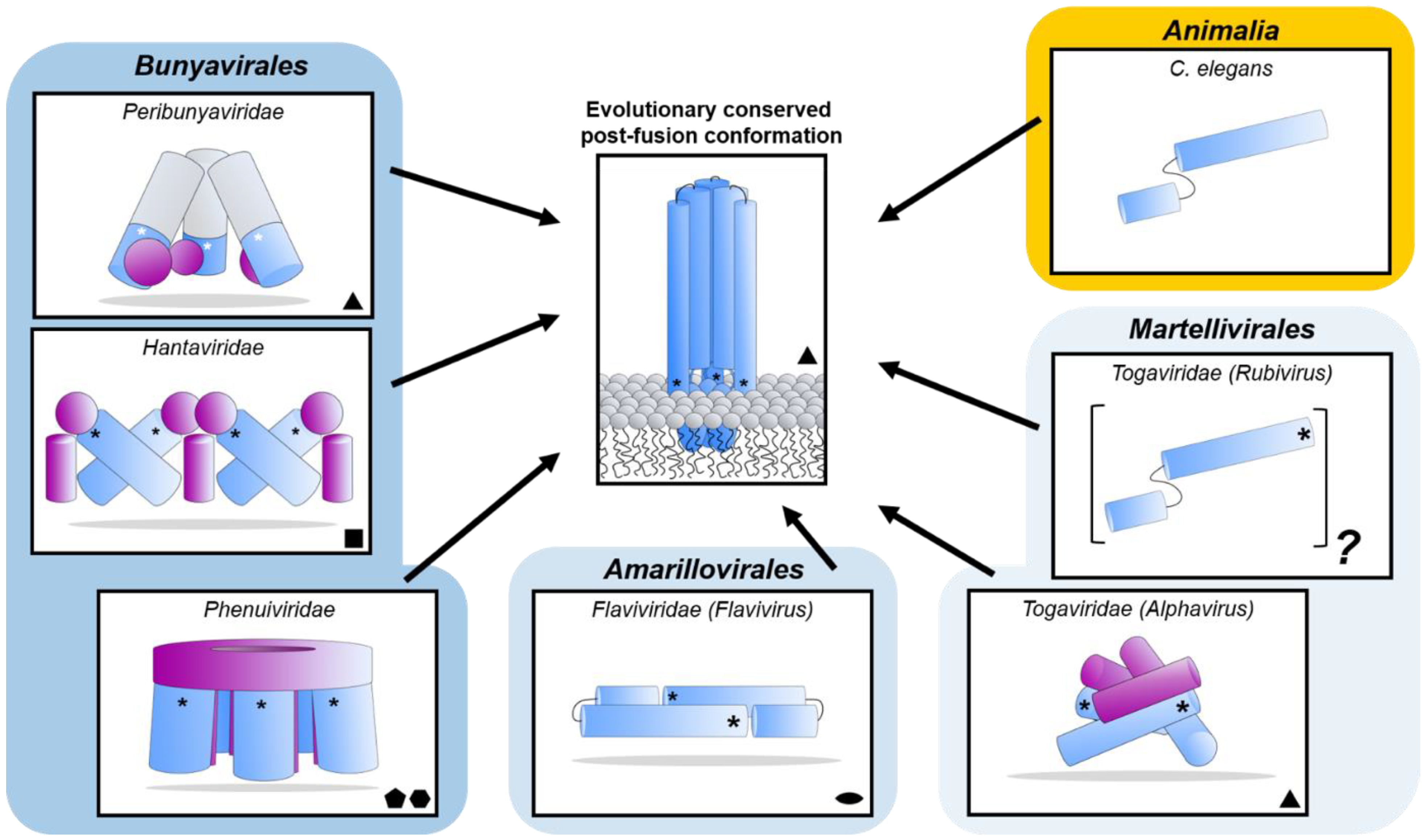 Viruses 13 00353 g008 Viruses 13 00353 g008
