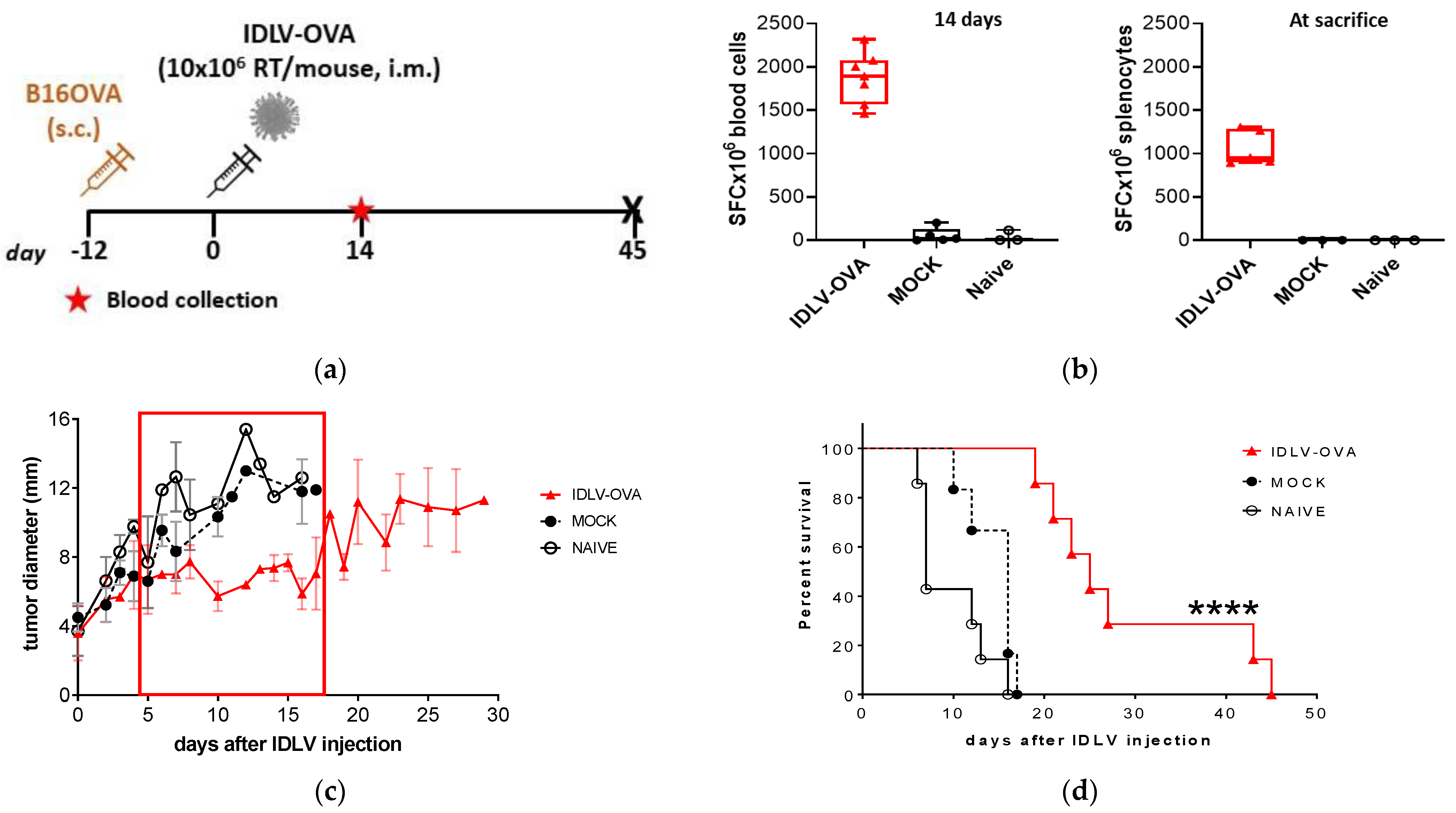 Viruses 13 00355 g002