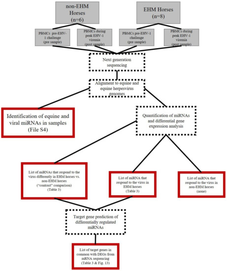 Featured image of post Mdpi Viruses Template Human viruses and associated pathologies the table below displays the list of human viral pathogens with transmission and barmah forest virus