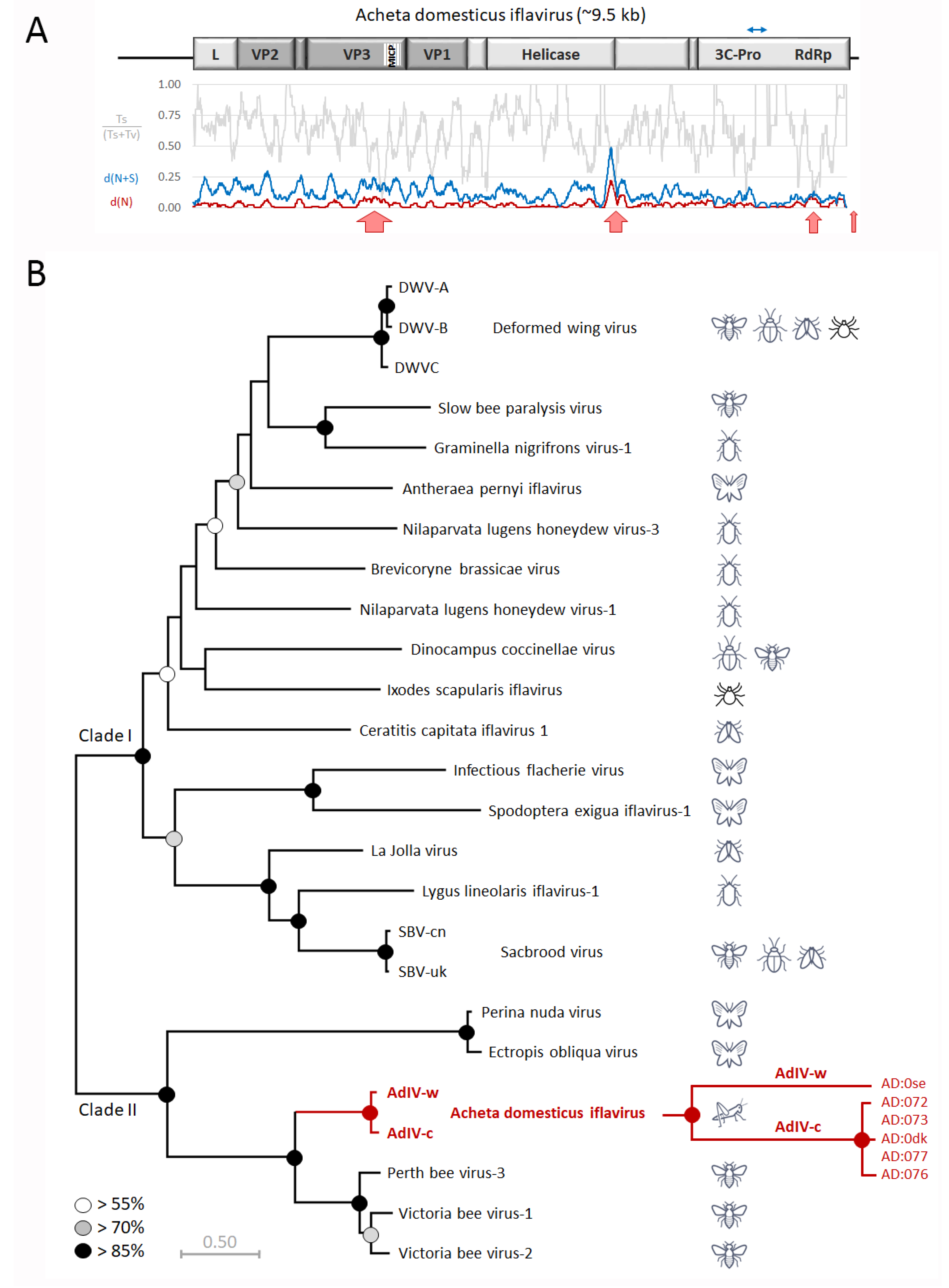 Viruses 13 00364 g002