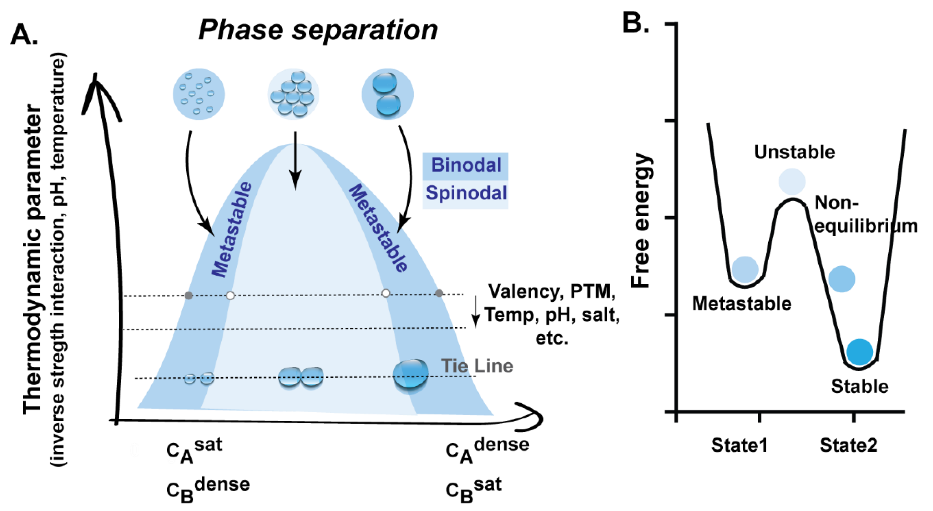 Viruses 13 00366 g001 Viruses 13 00366 g001