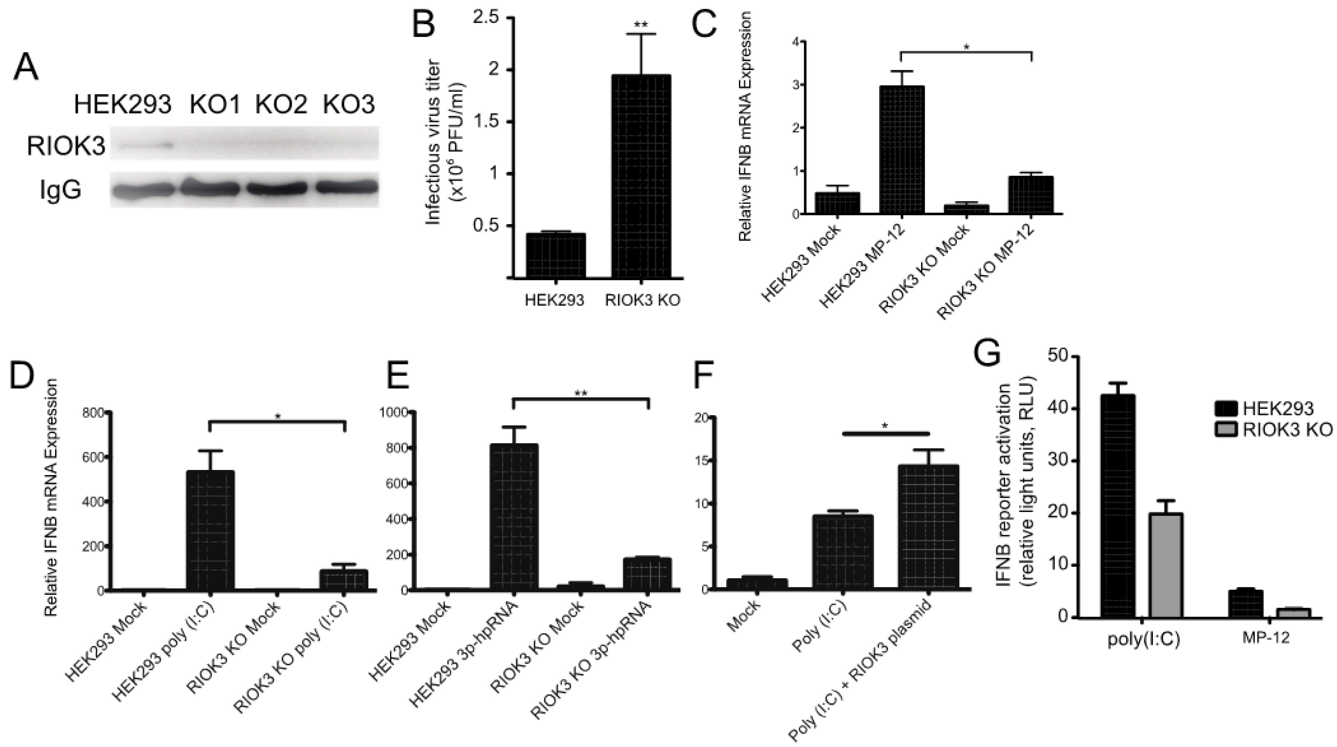 Viruses 13 00367 g002 Viruses 13 00367 g002