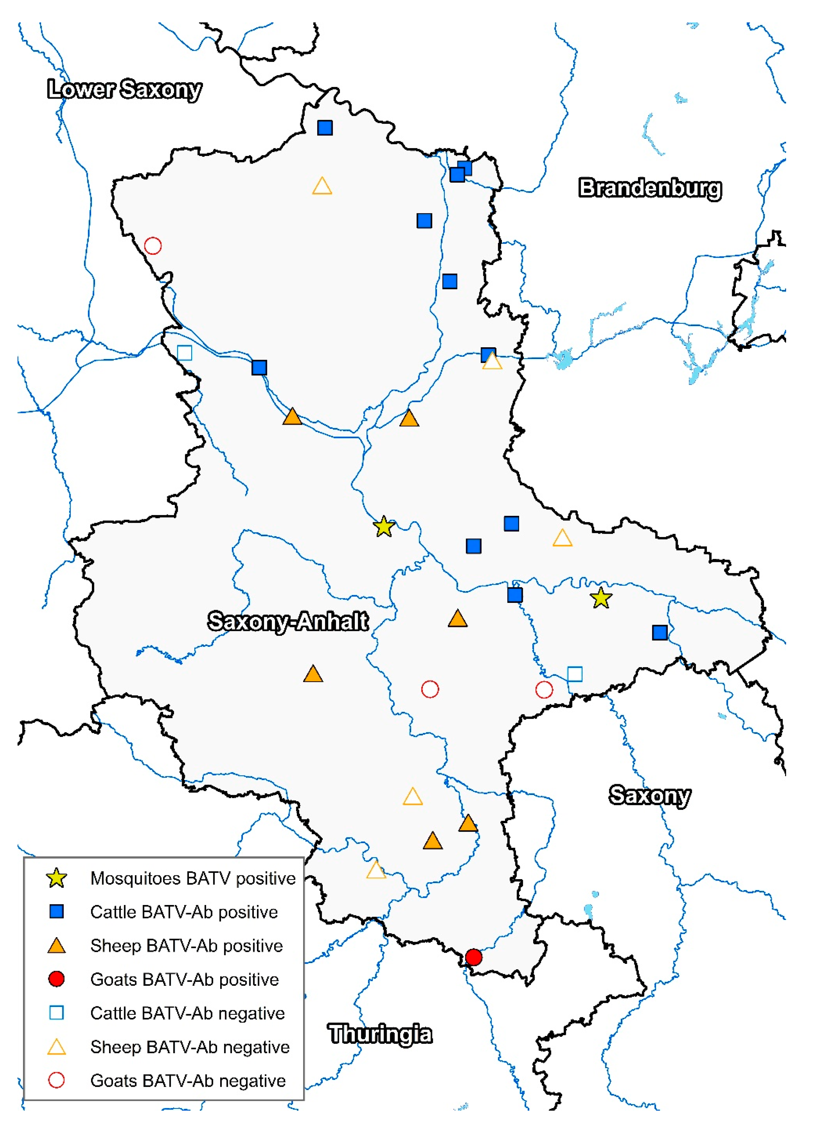 Viruses 13 00370 g002