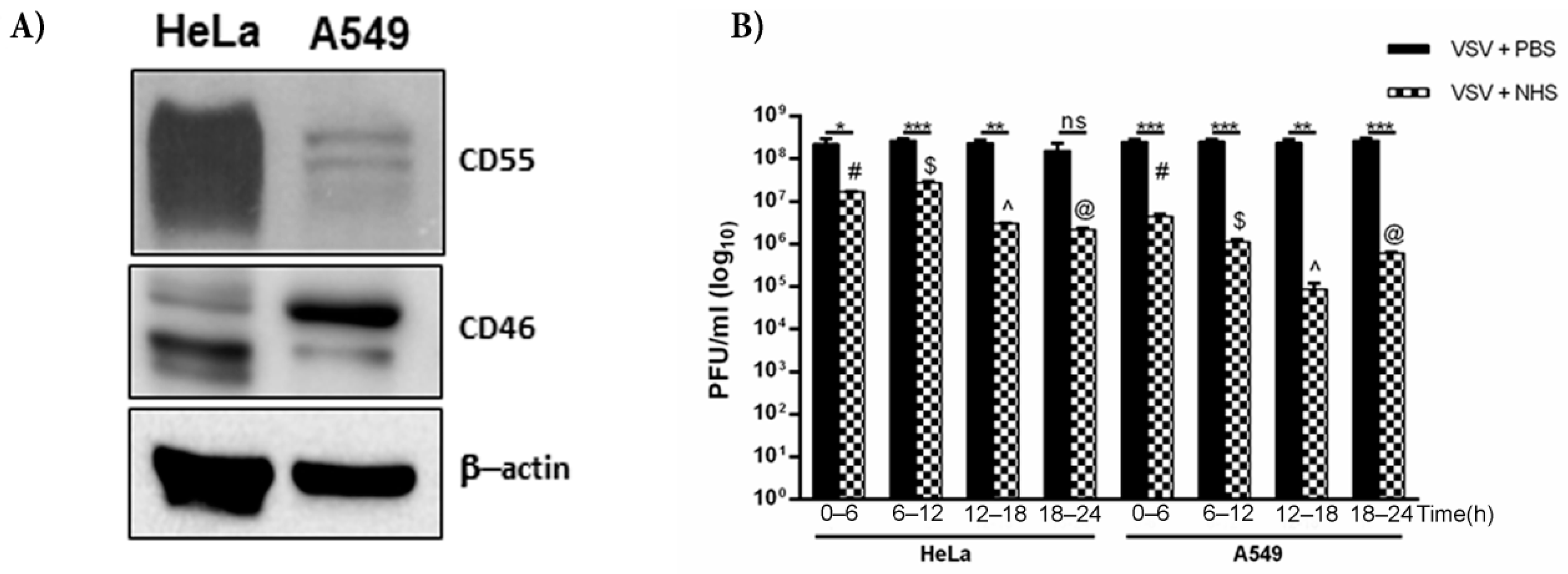 Viruses 13 00373 g006 Viruses 13 00373 g006
