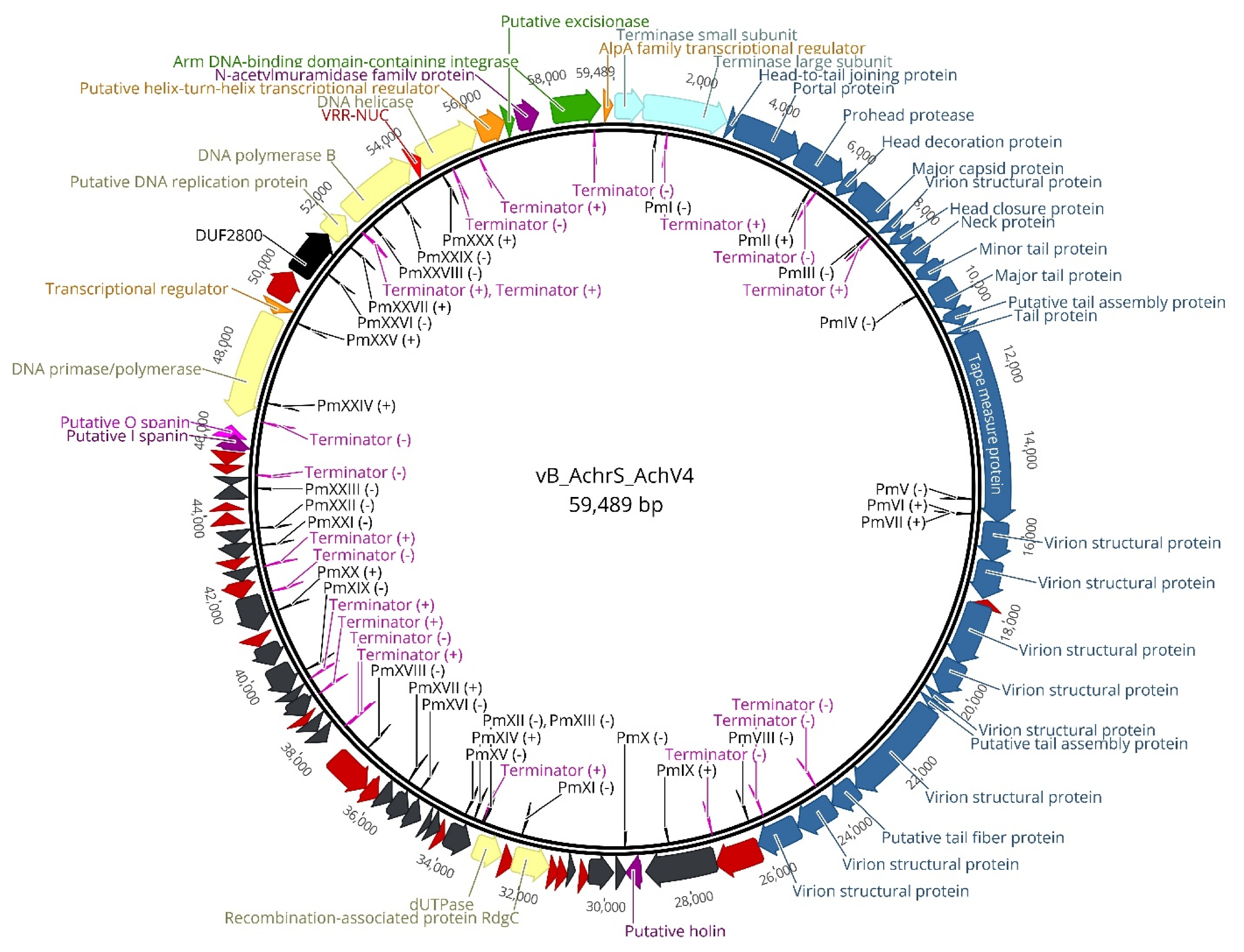Viruses 13 00374 g002