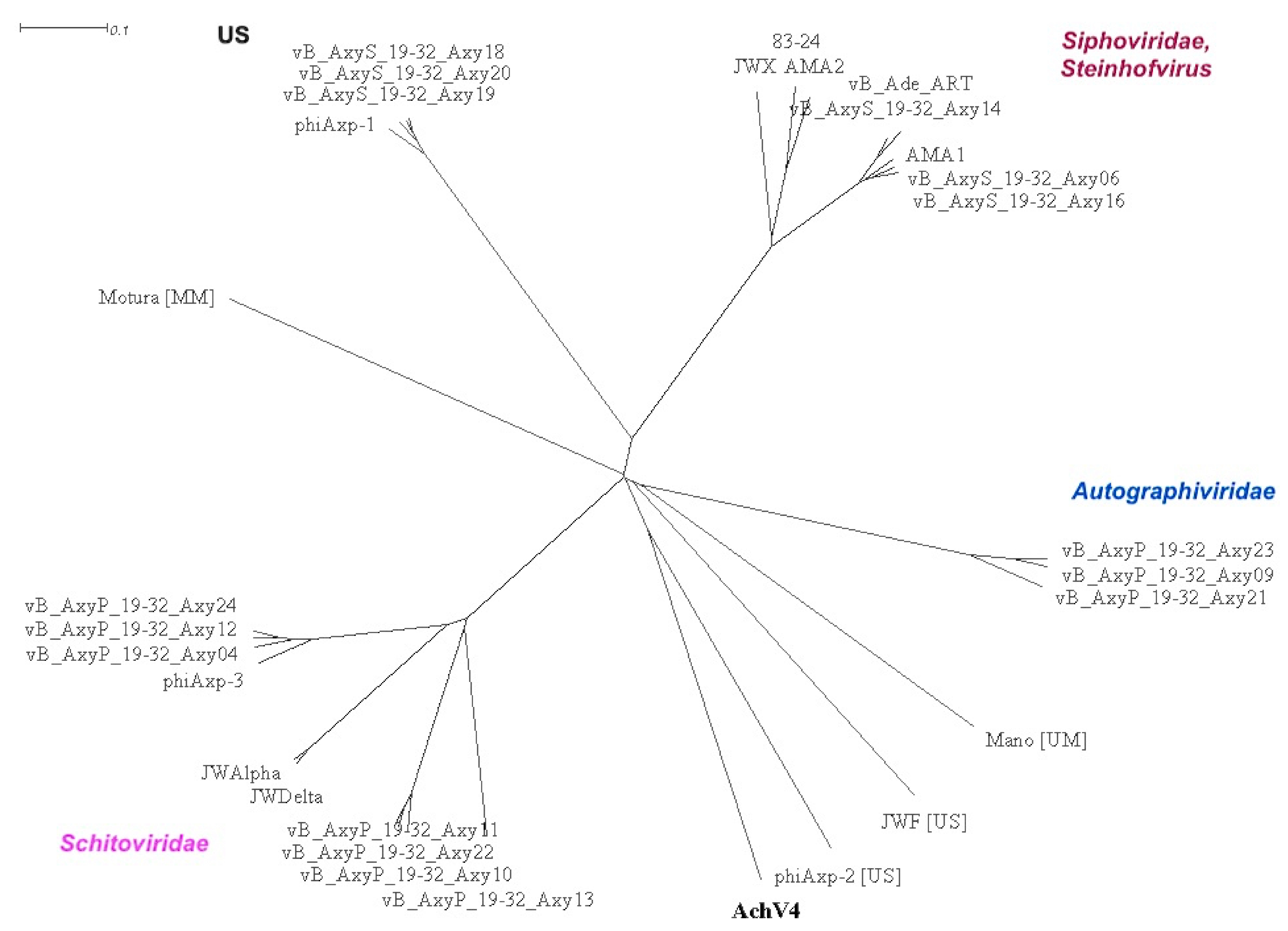 Viruses 13 00374 g007