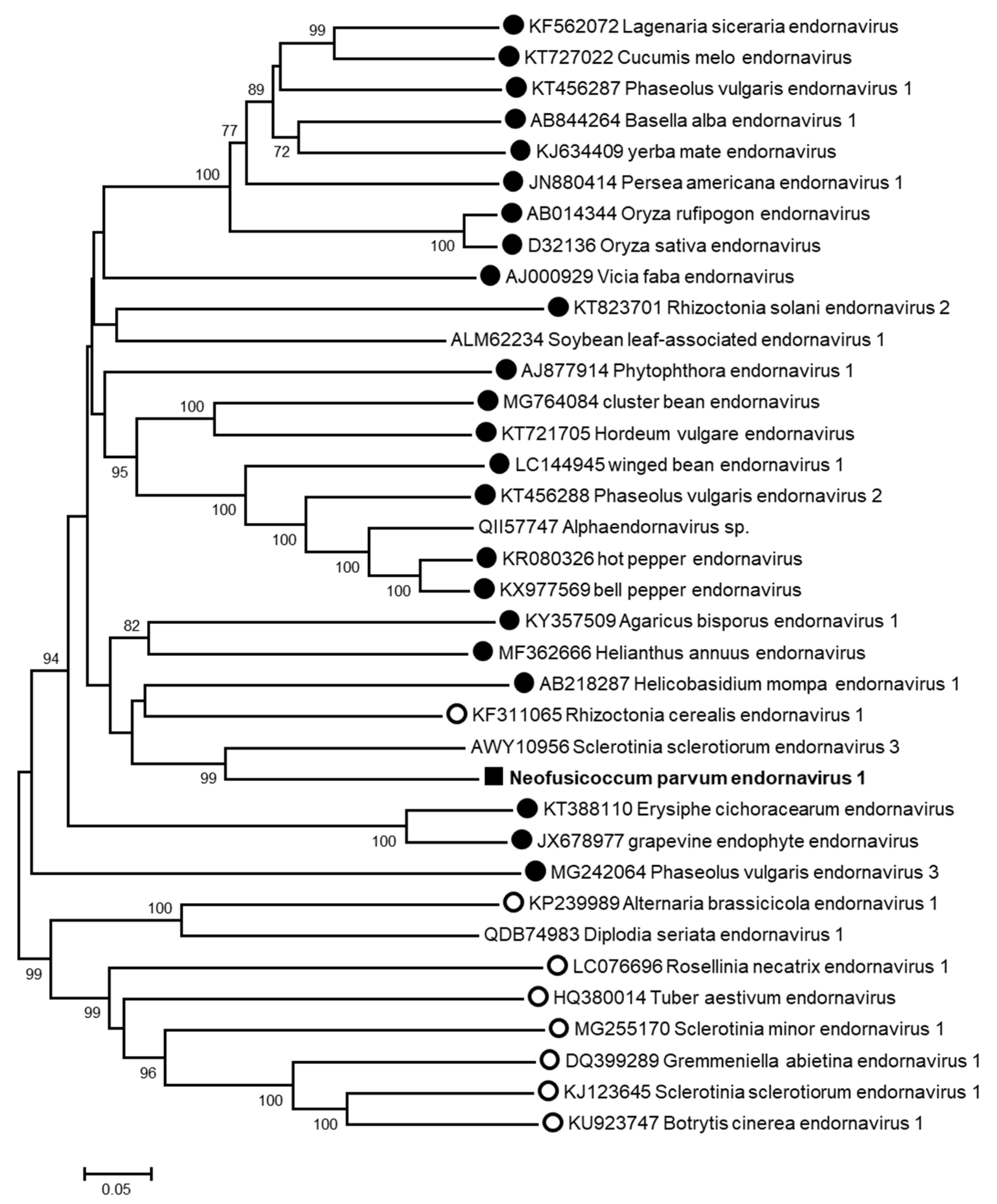 Viruses 13 00375 g003