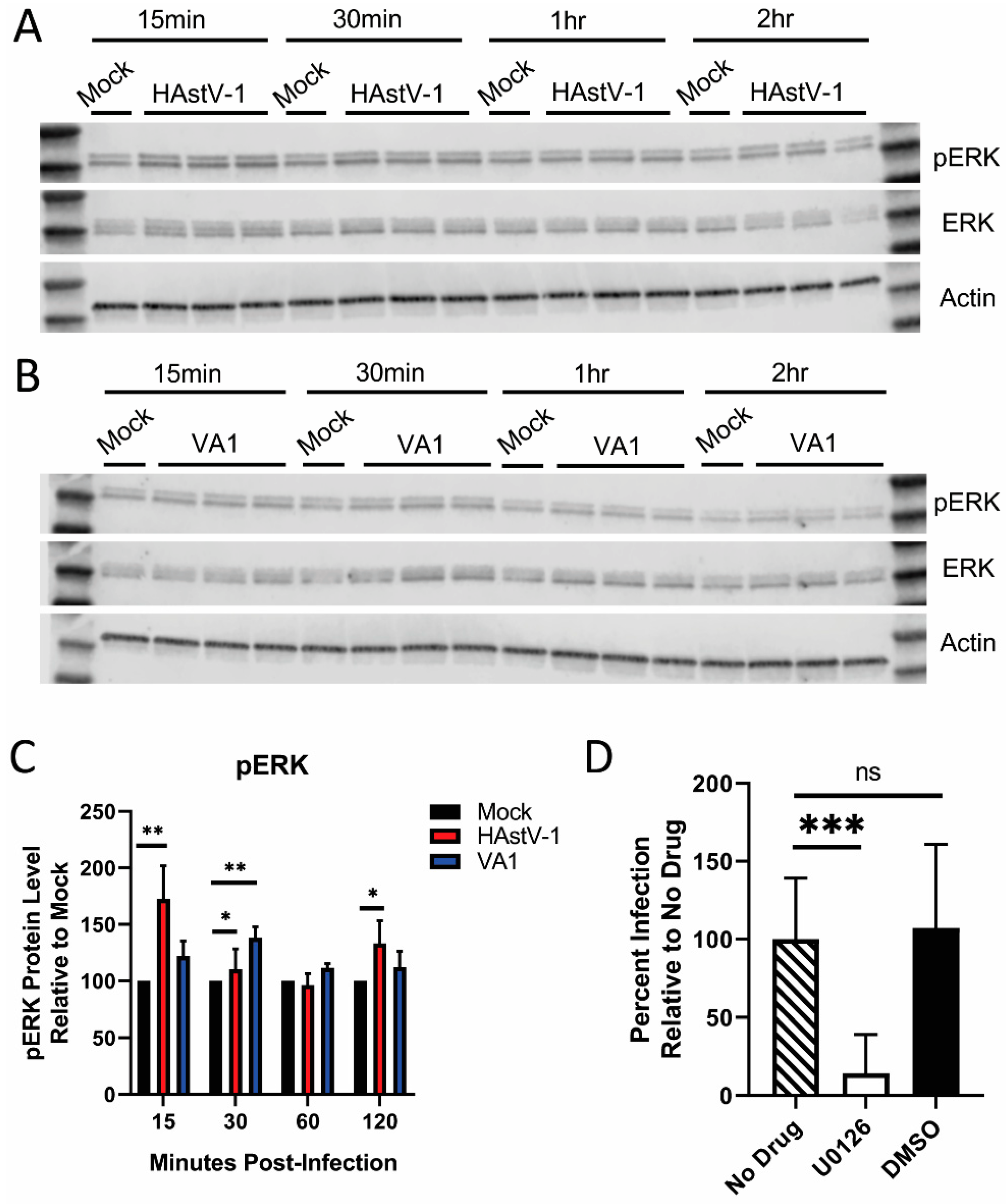 Viruses 13 00376 g003