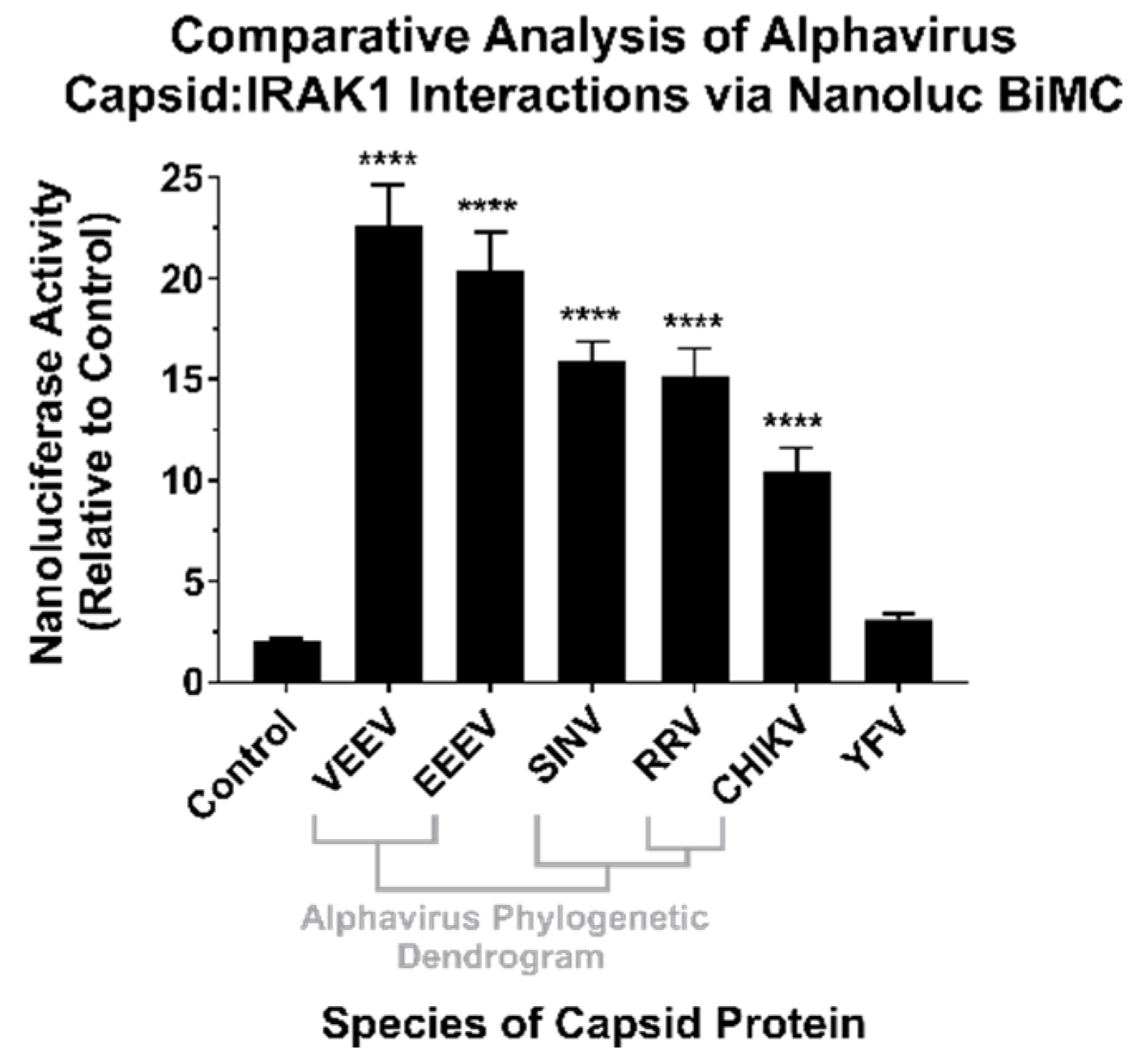 Viruses 13 00377 g003