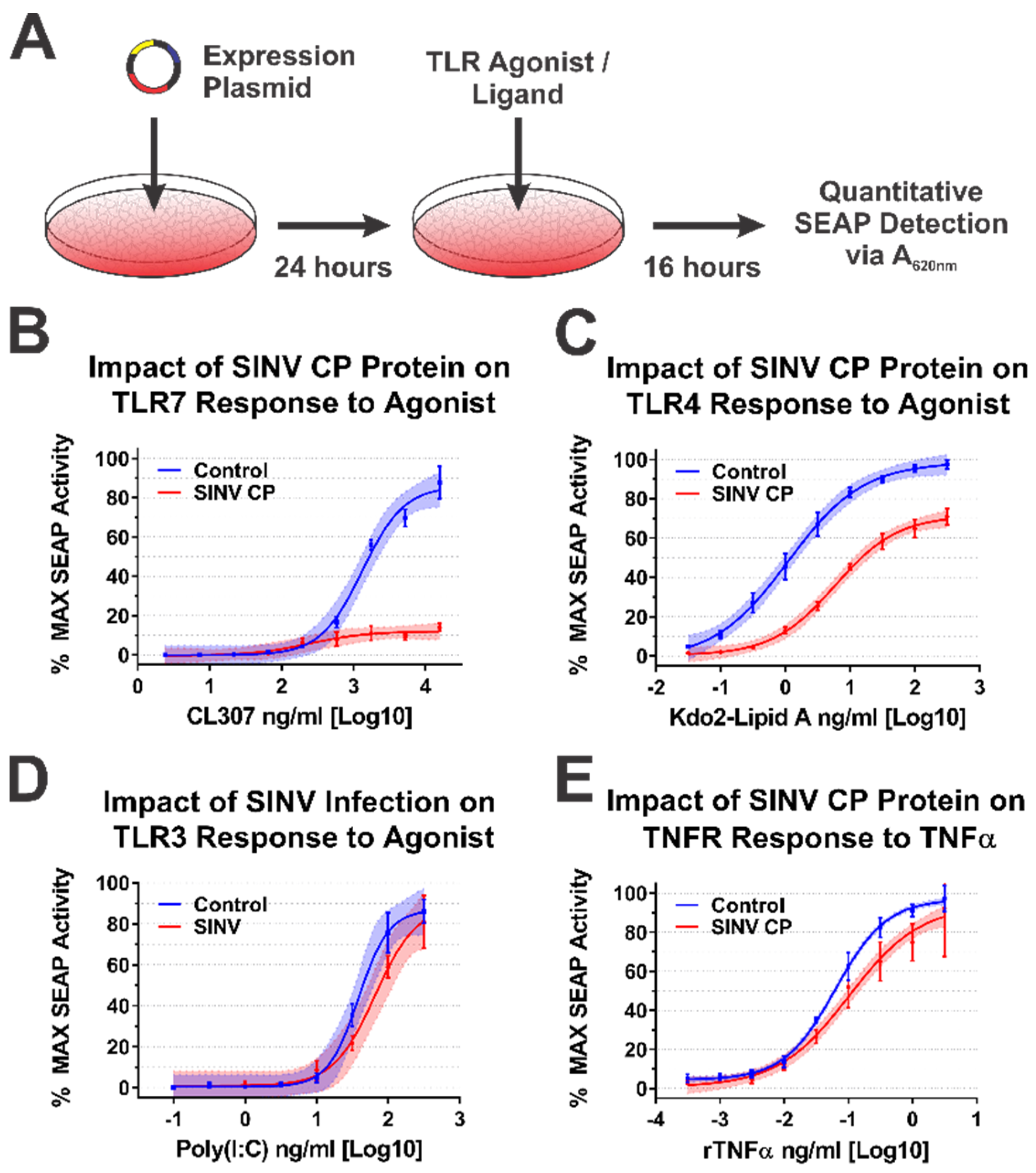 Viruses 13 00377 g004