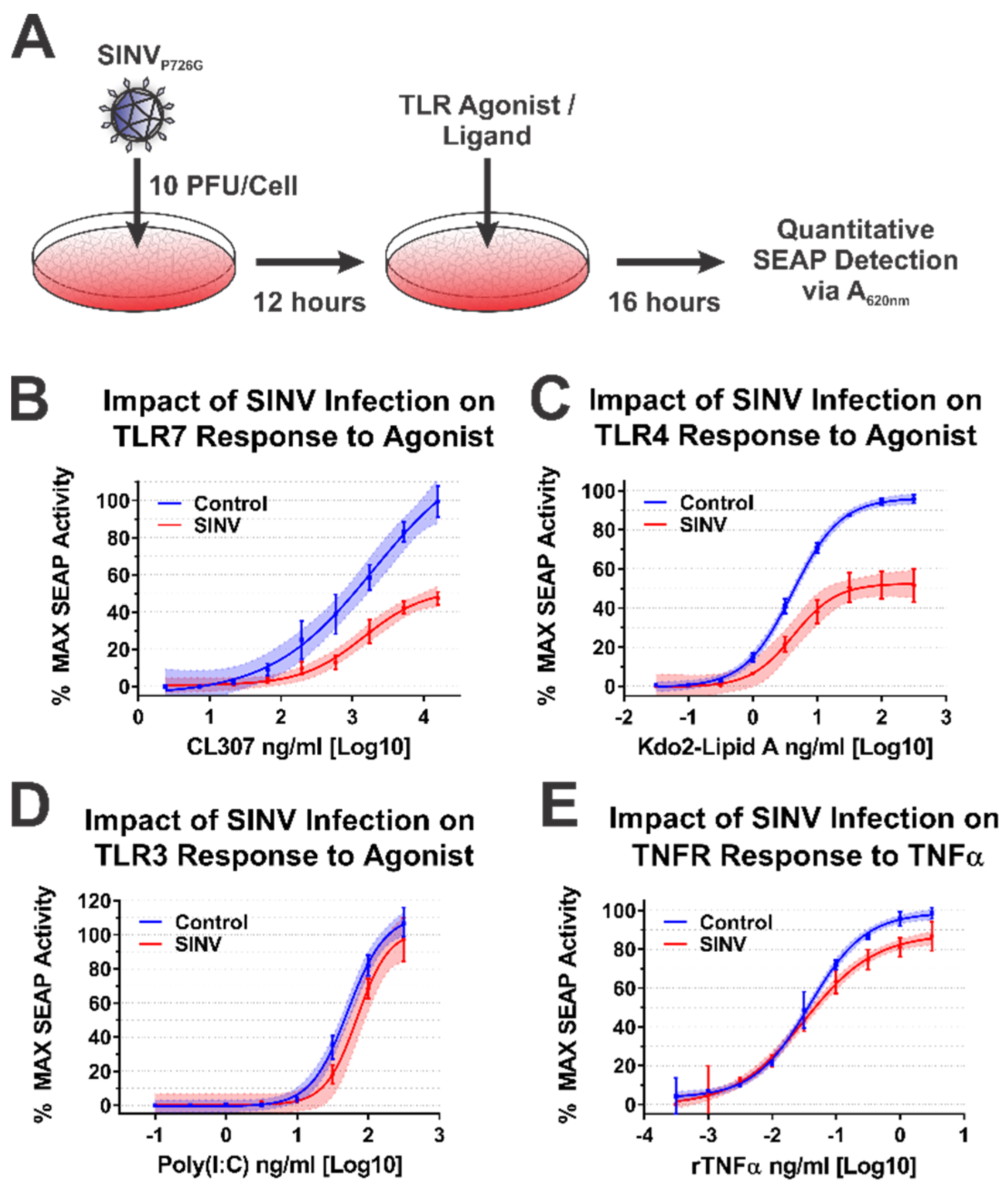 Viruses 13 00377 g006